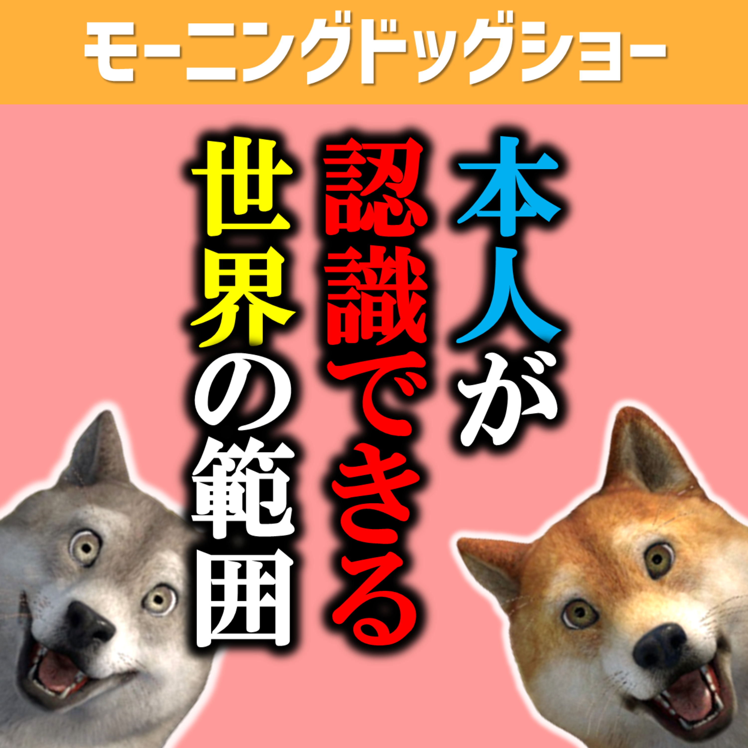 パースペクティブ（本人が認識できる世界） episode artwork