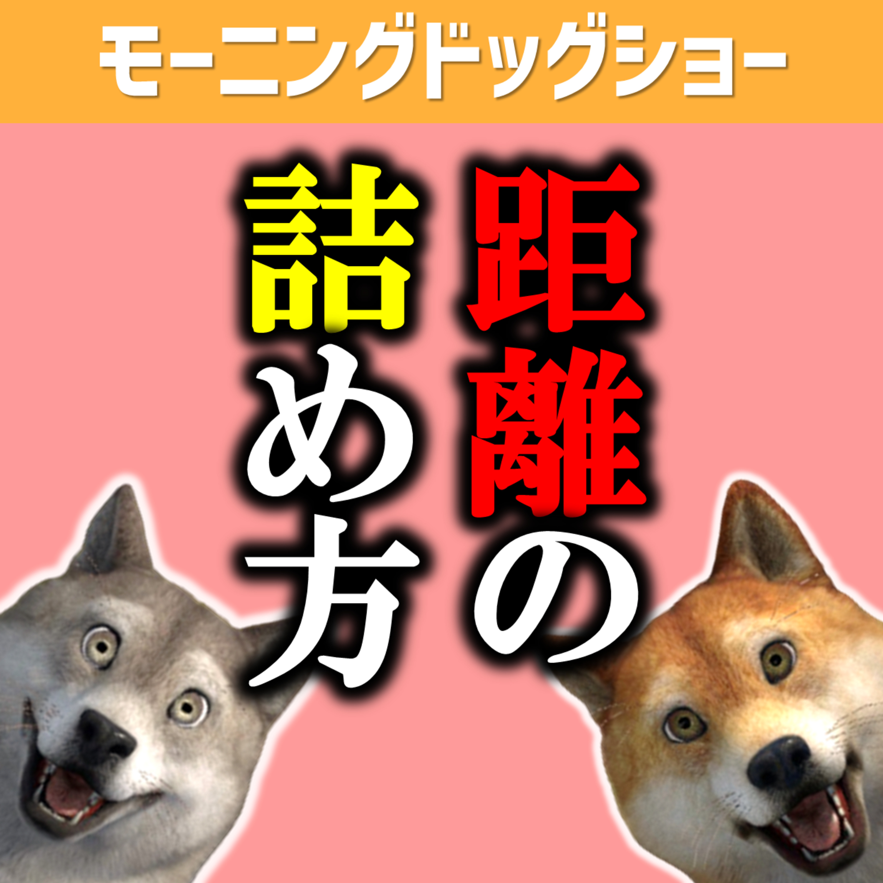 距離の詰め方って大事 episode artwork