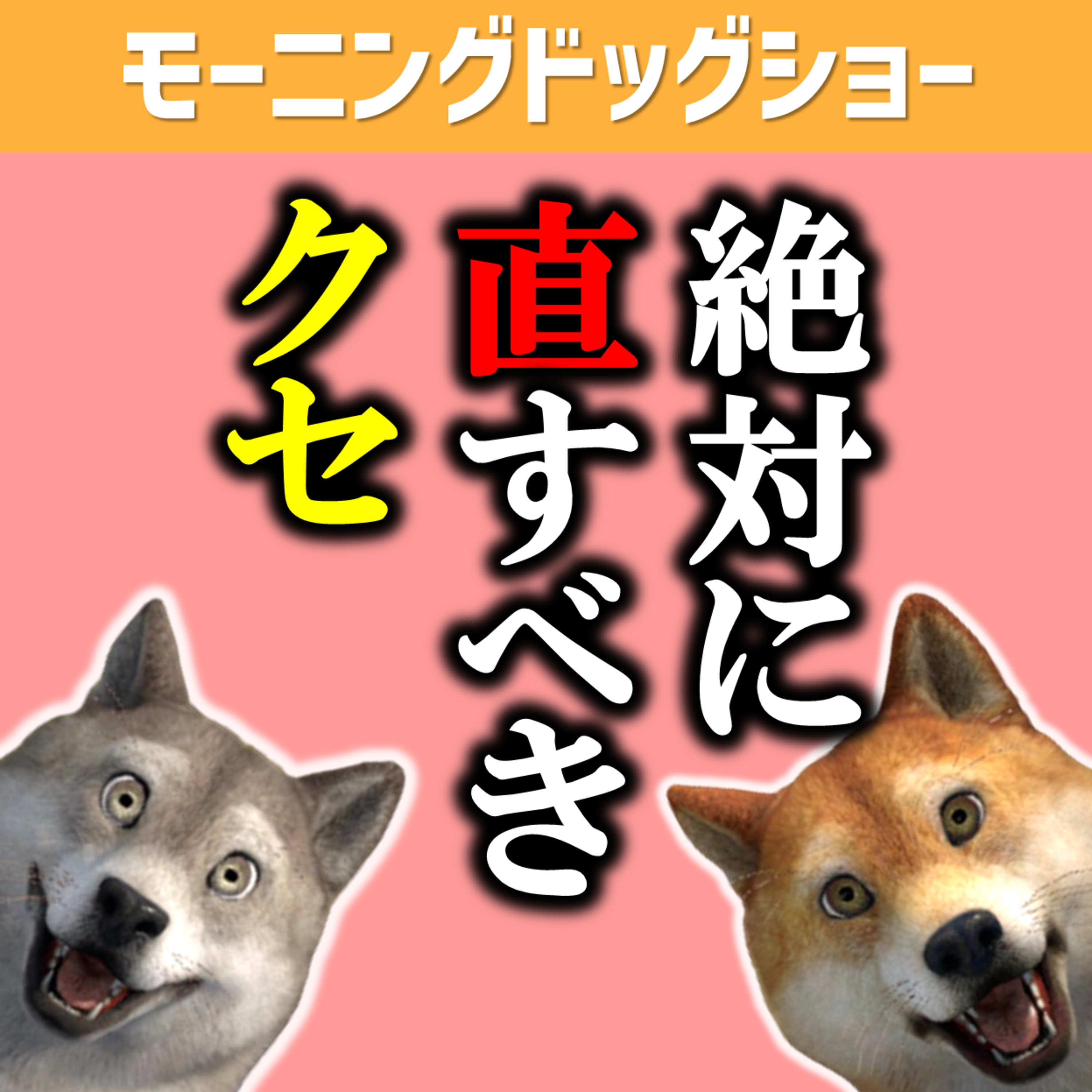 絶対に直した方がいいクセ episode artwork