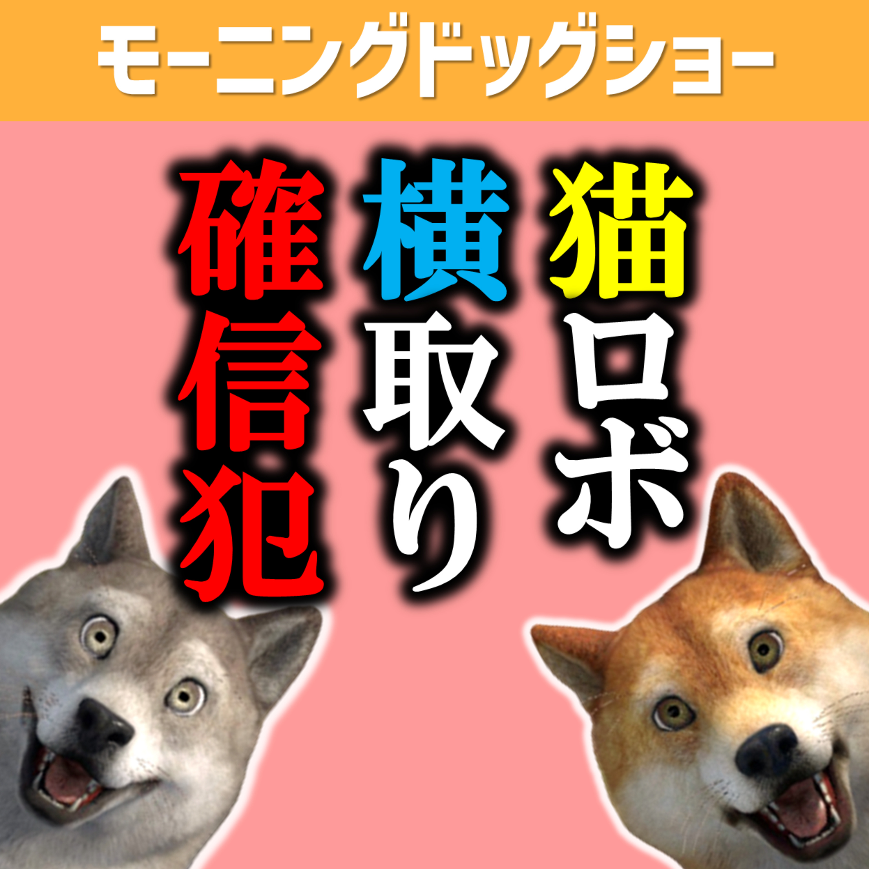 猫ロボ運搬中の料理「横取り」が話題 episode artwork