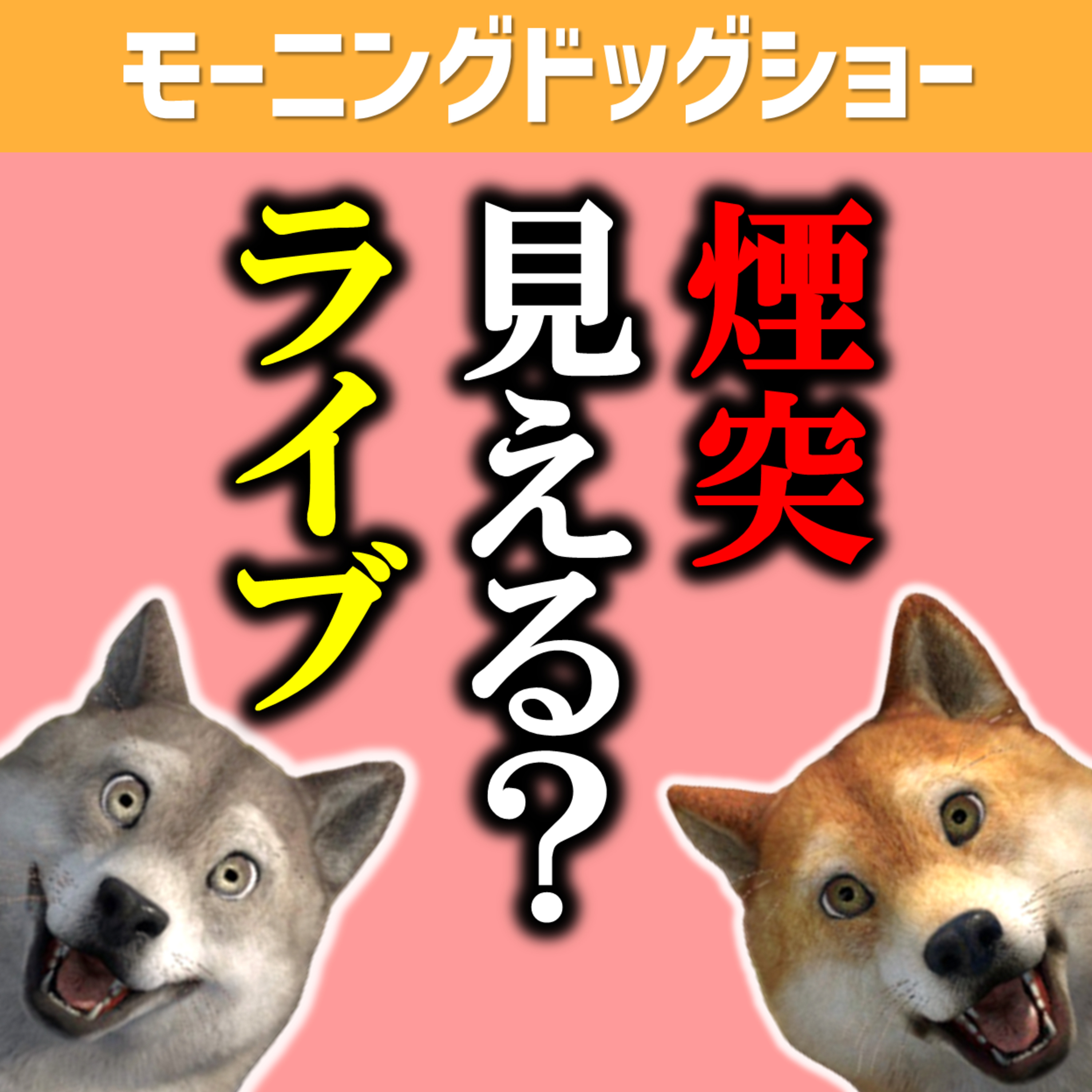 そこから煙突は見えますかアンケートLIVE episode artwork