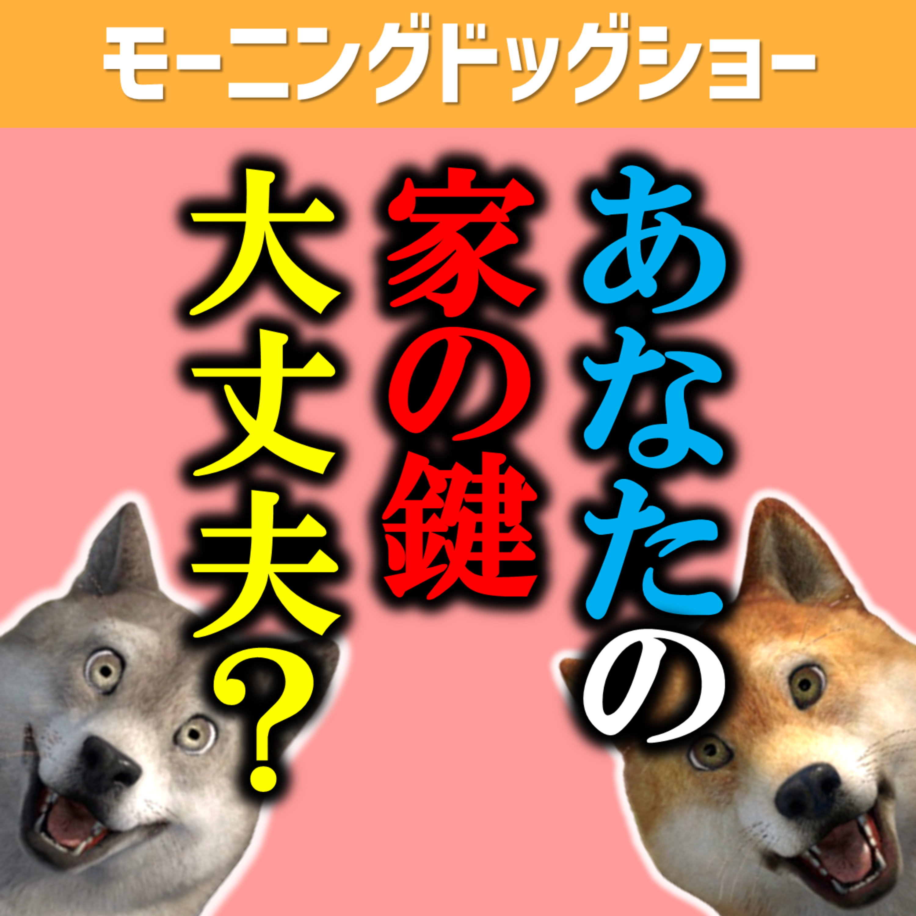 日本のセキュリティ─あなたの鍵はどこにある？─ episode artwork