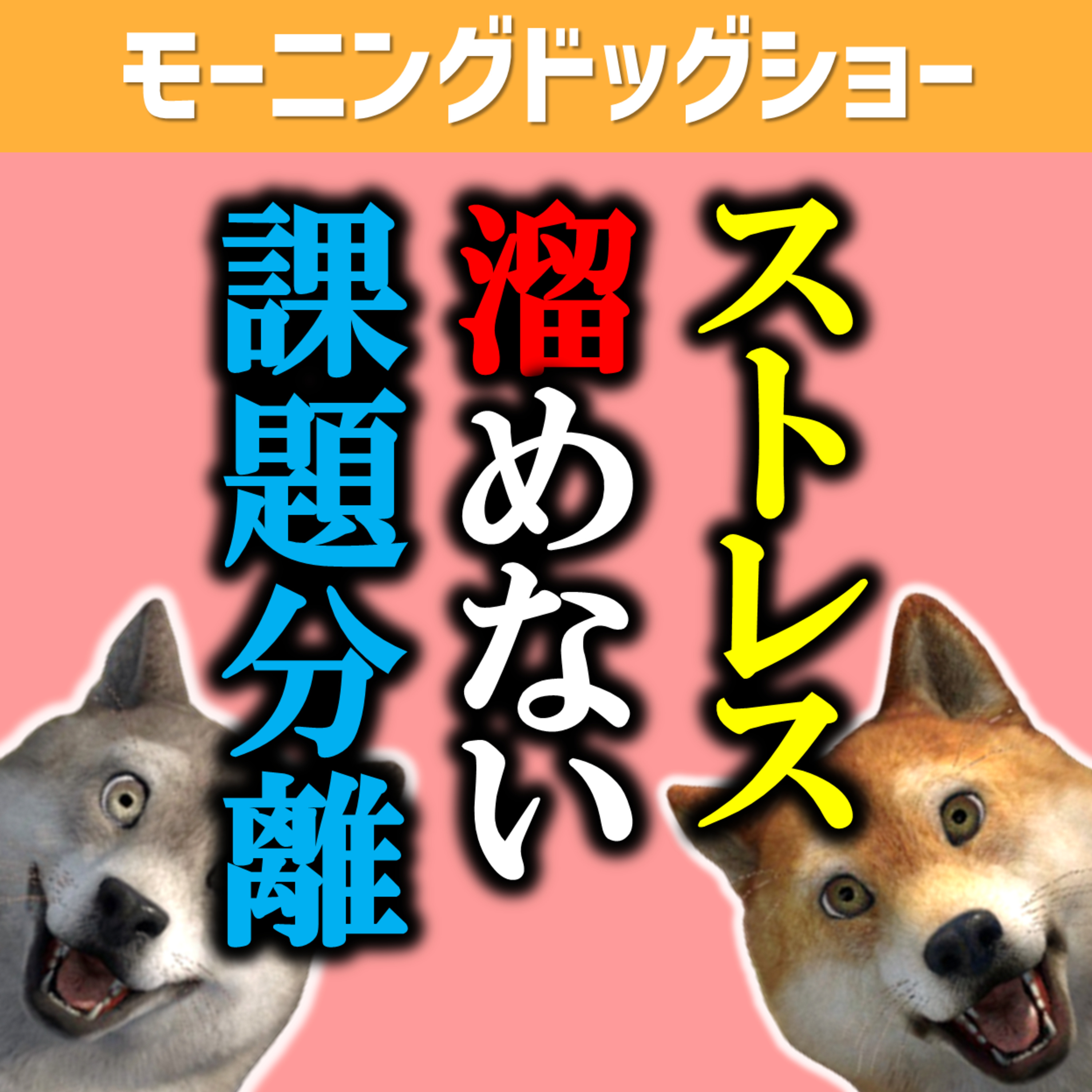 ストレスを溜めない課題の分離＠アドラー心理学 episode artwork