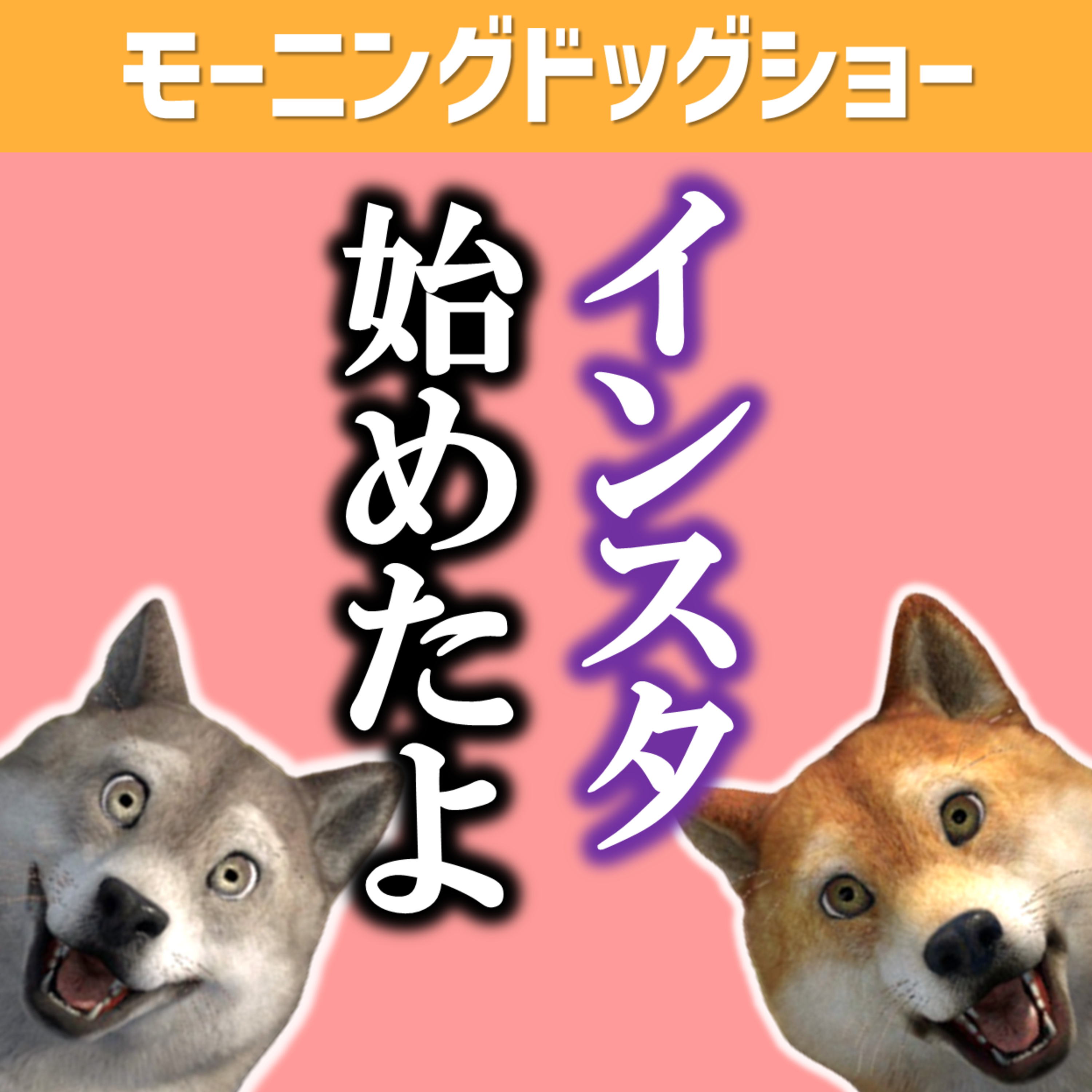 Instagramを継続させる方法を編み出しました。 episode artwork