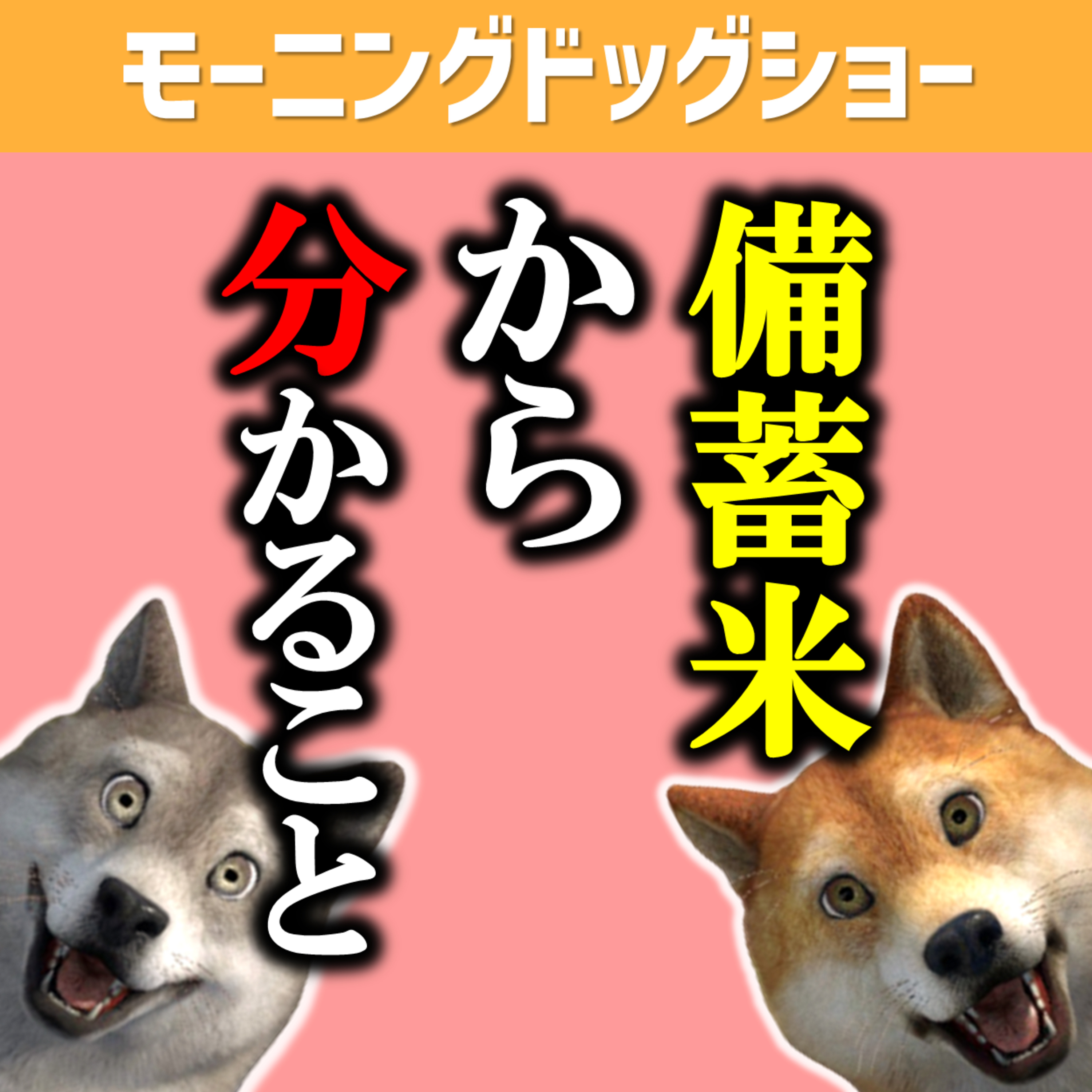 備蓄米って何か知ってますか？ episode artwork