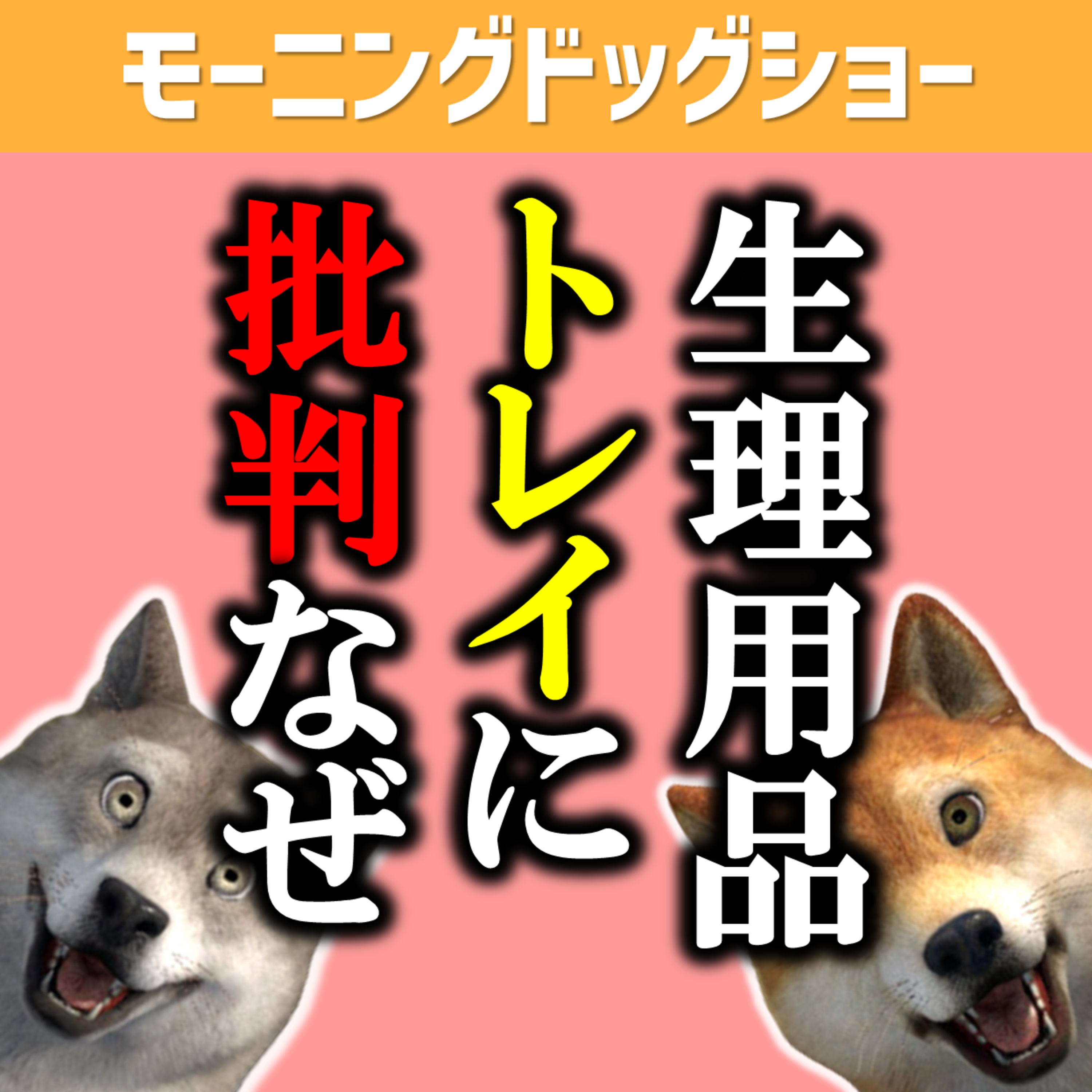 生理用品をトイレにおいて→批判される→なぜか？ episode artwork