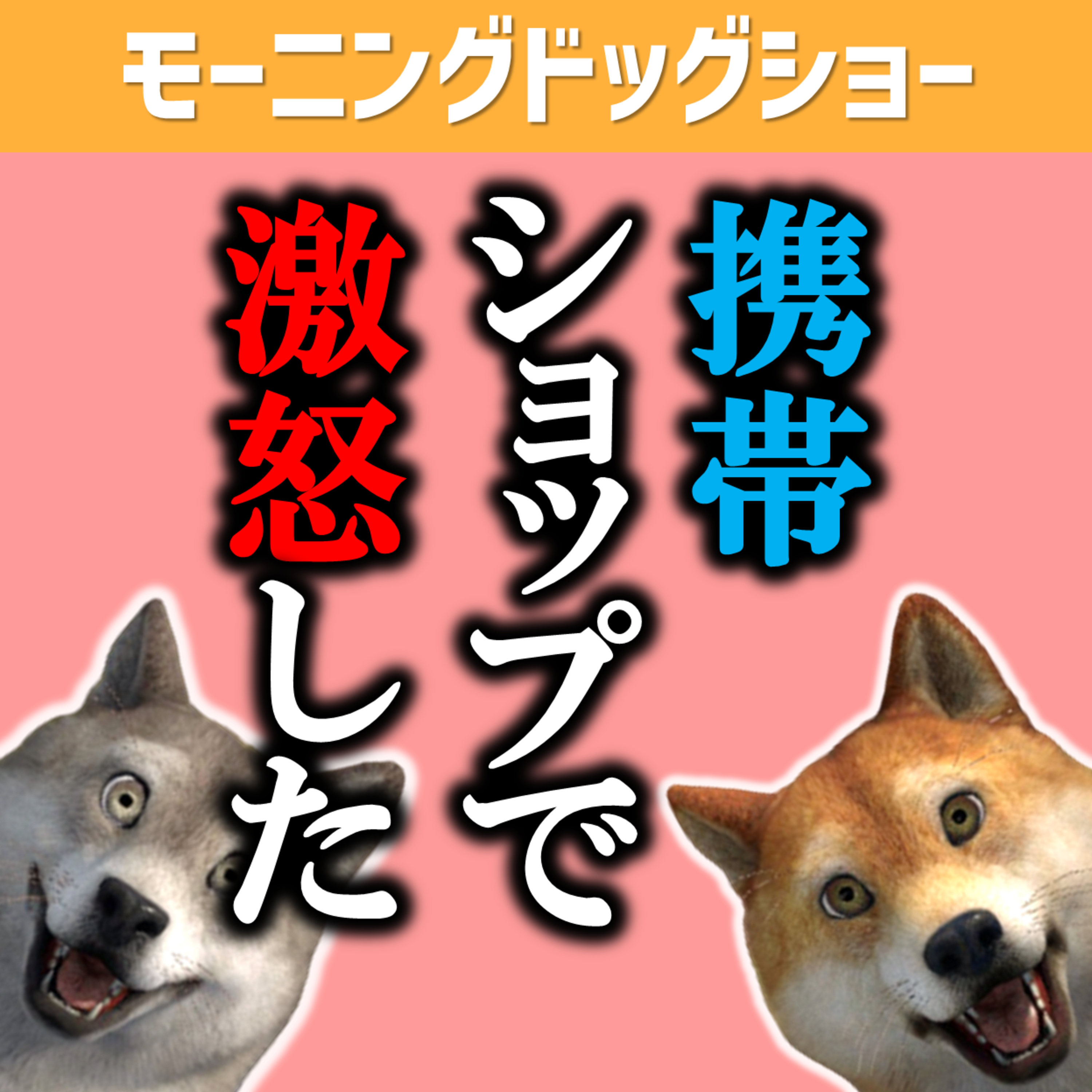 機種変更を店鋪でしてたけど激怒した episode artwork