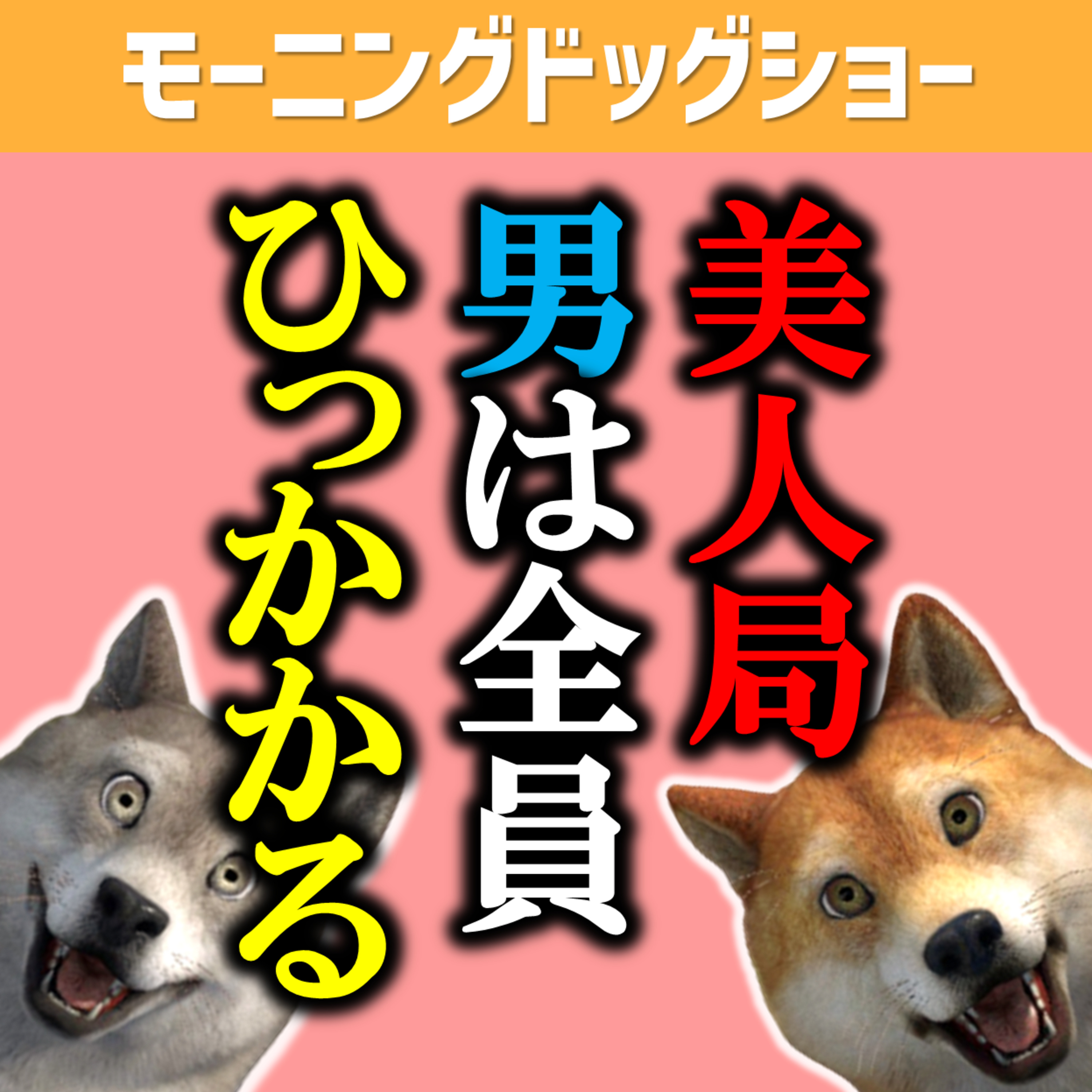 美人局は全男性が100％ひっかかる episode artwork