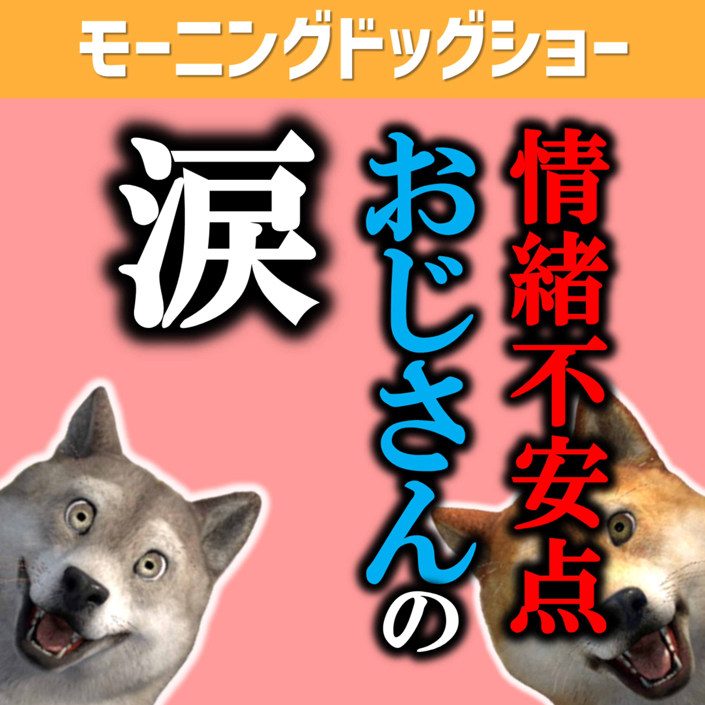 繁忙期で大変で情緒不安定で涙が止まらない40代男 episode artwork