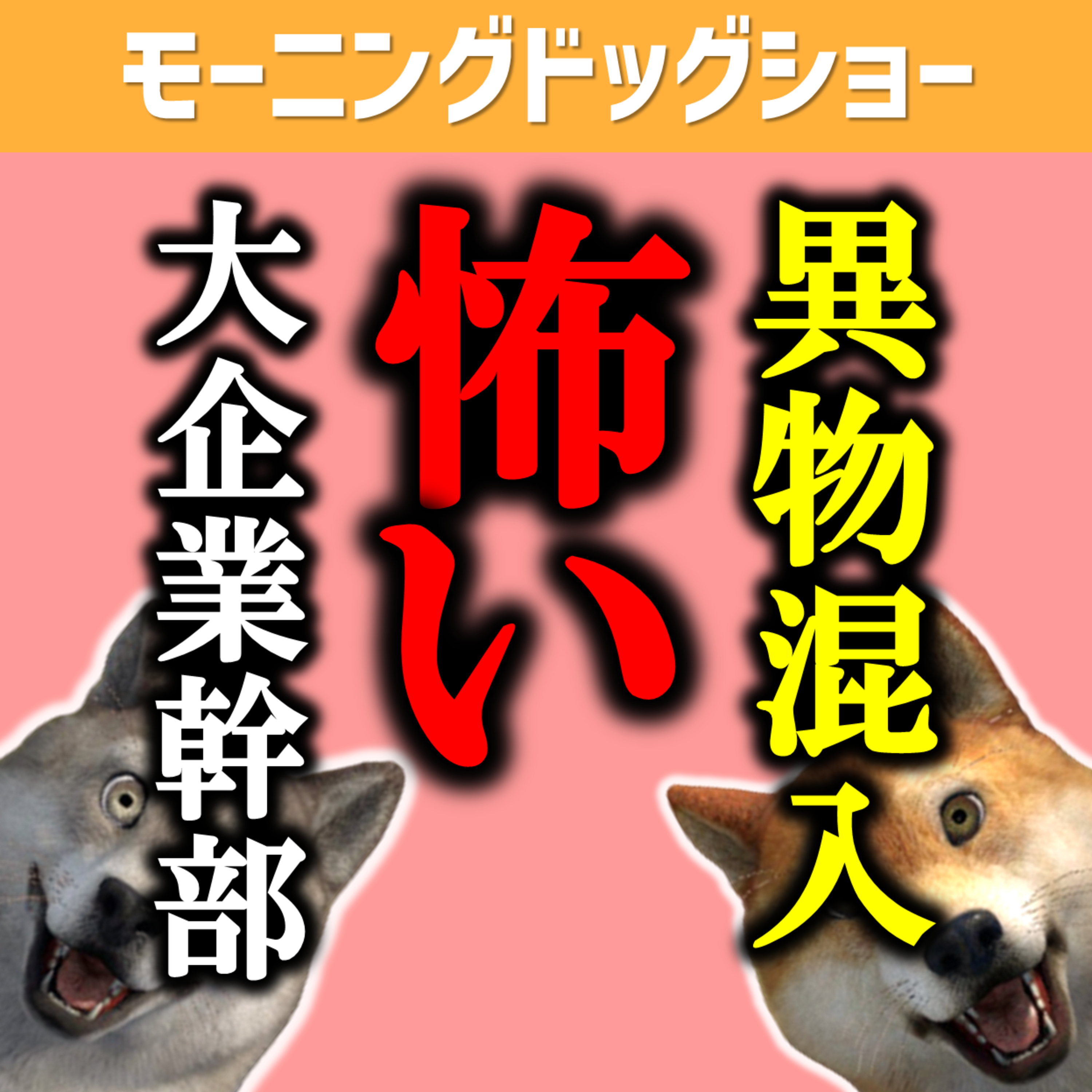 すき家　異物混入からみる大企業の幹部が発する違和感のある言葉 episode artwork