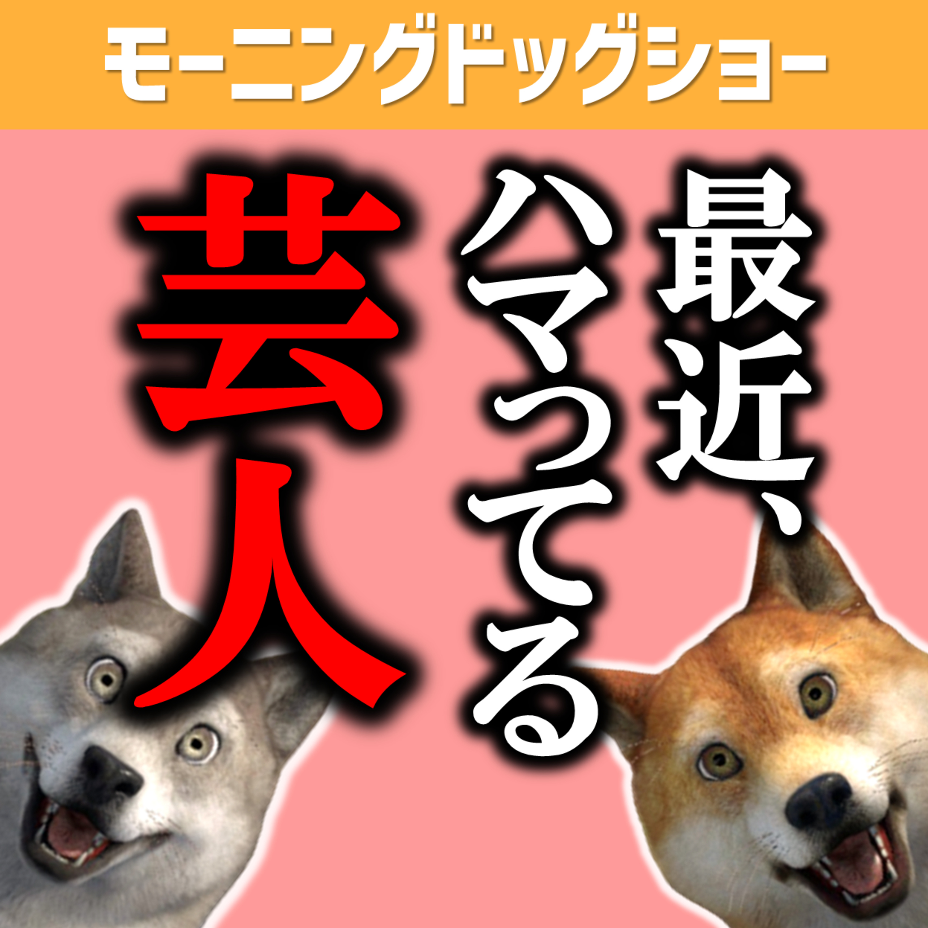 最近ハマっているお笑い芸人 episode artwork