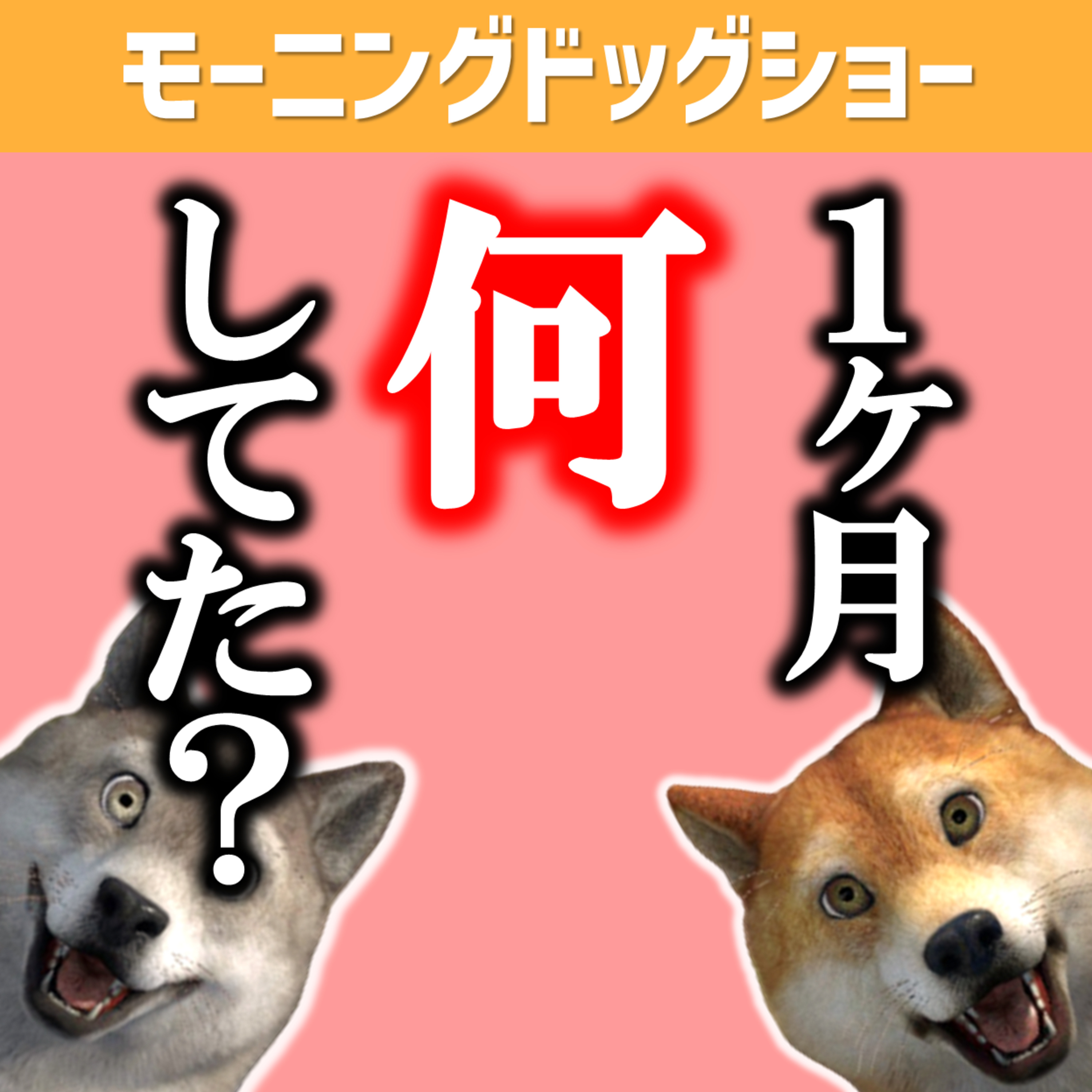 この1ヶ月なにしてたん？ episode artwork