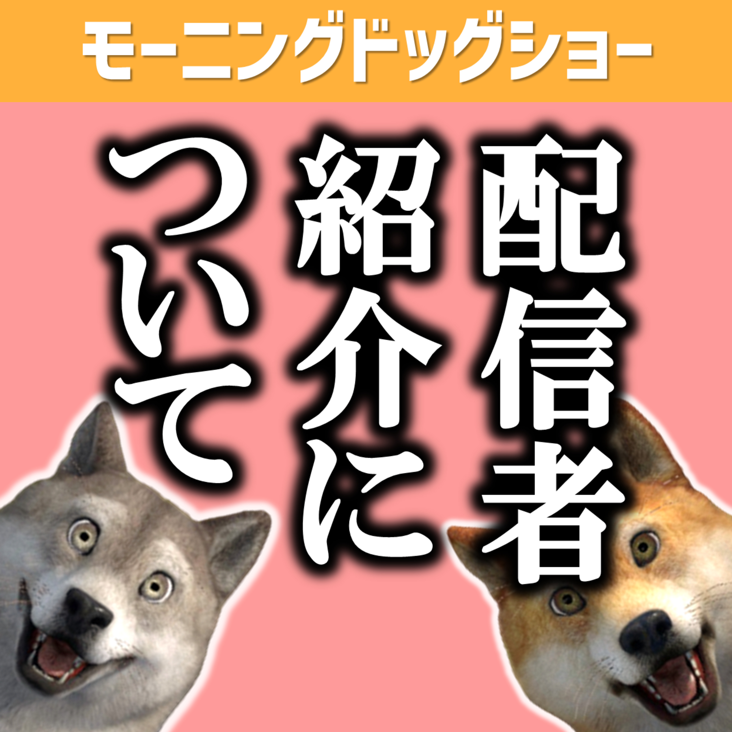 【改めて】配信者紹介について episode artwork
