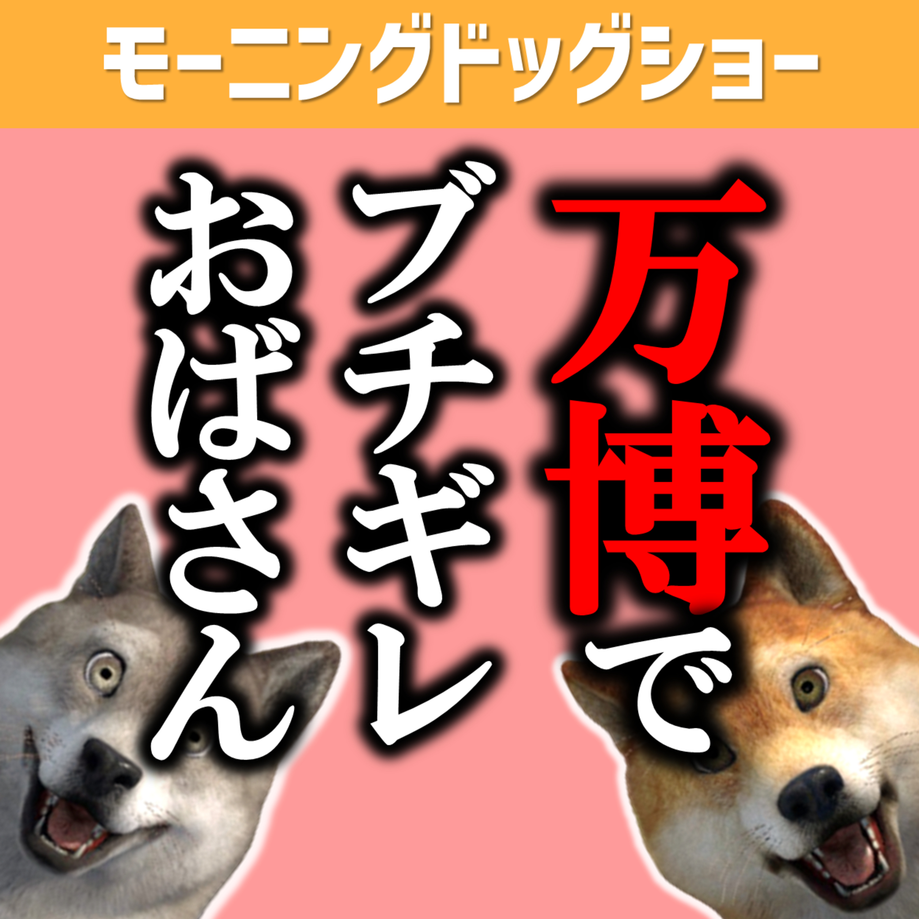 大阪万博でブチギレるおばさんにならないために...。 episode artwork