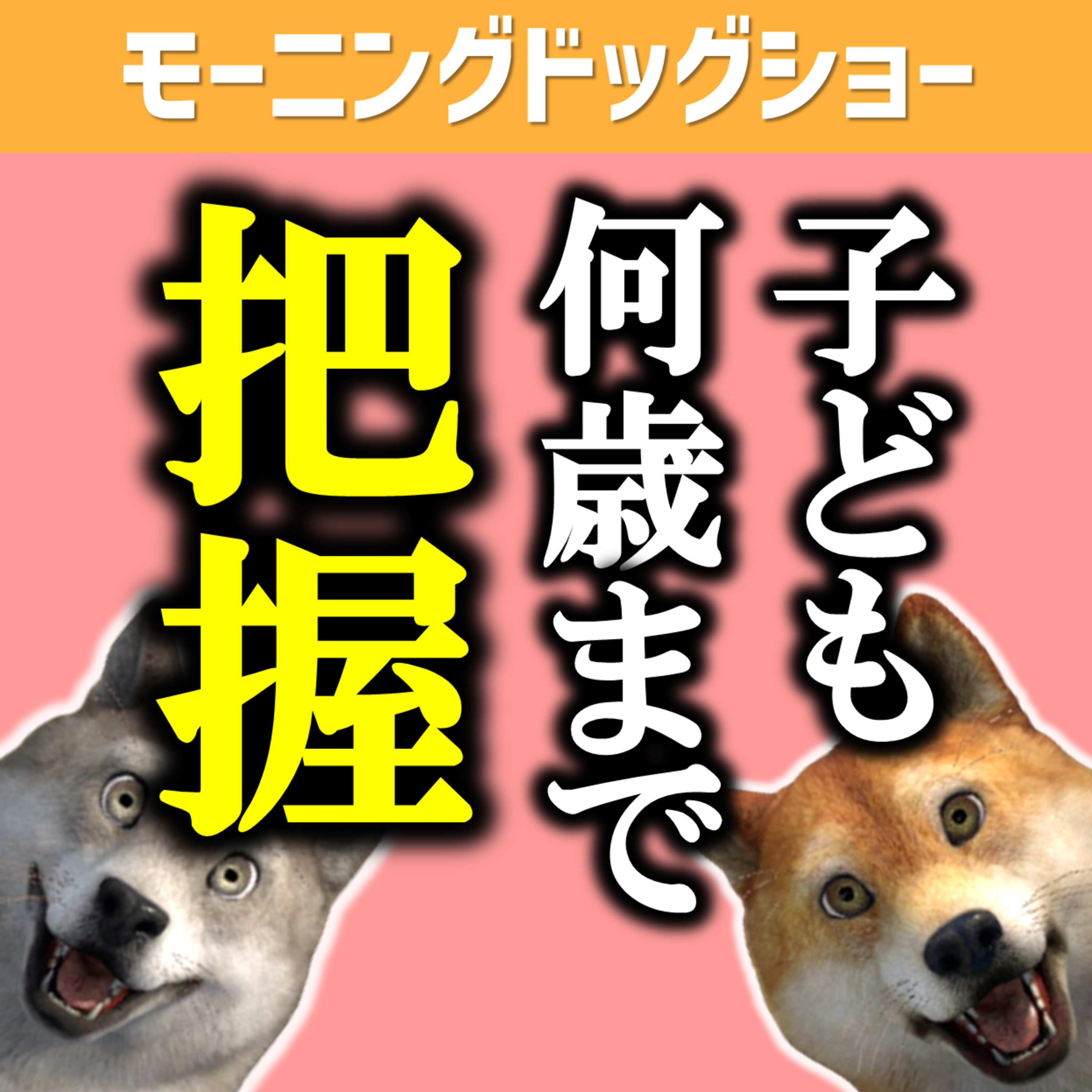 何歳まで子どもを尾つますか...？ episode artwork