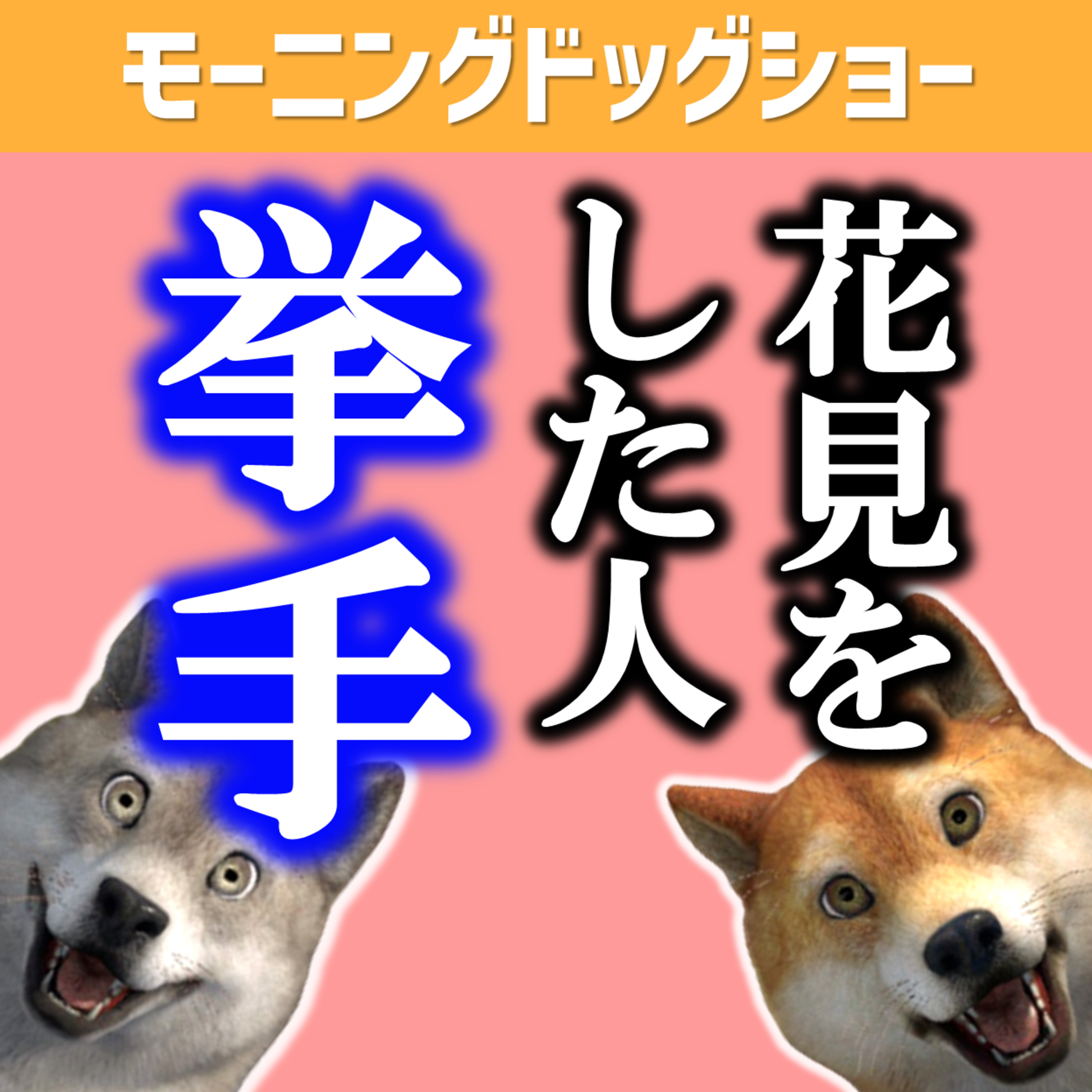 花見しましたか？ episode artwork