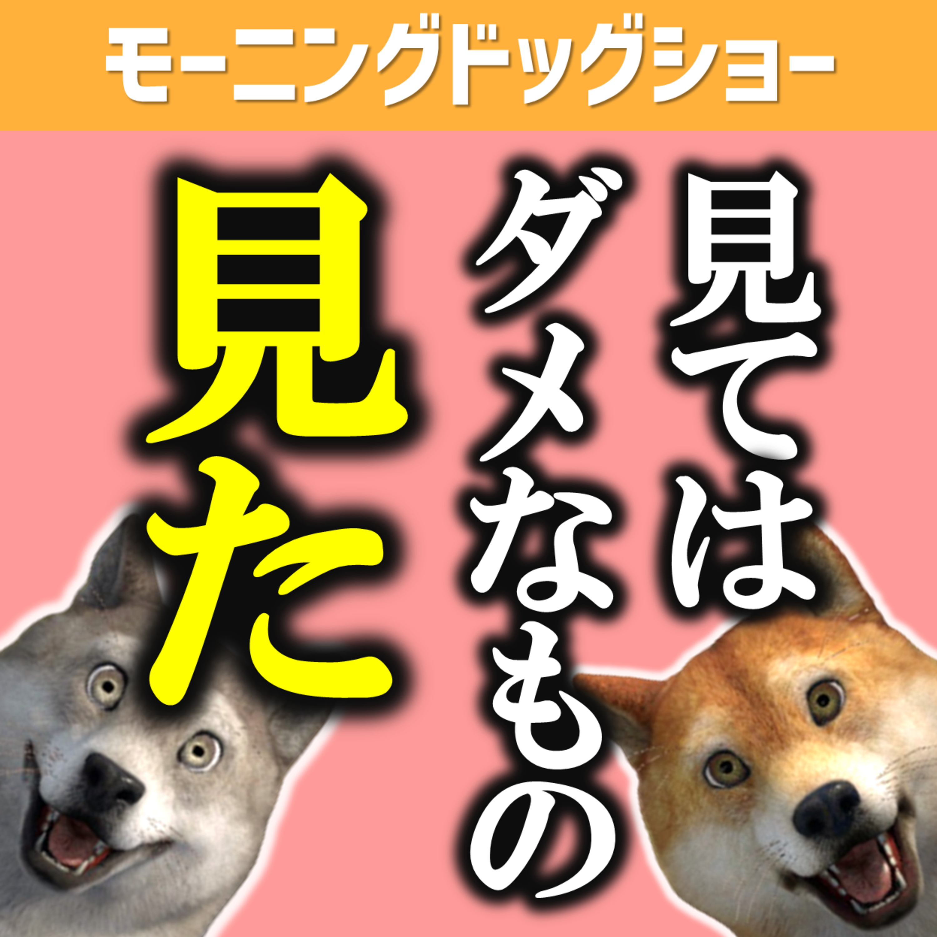 見ちゃいけないものを見たんです...。 episode artwork