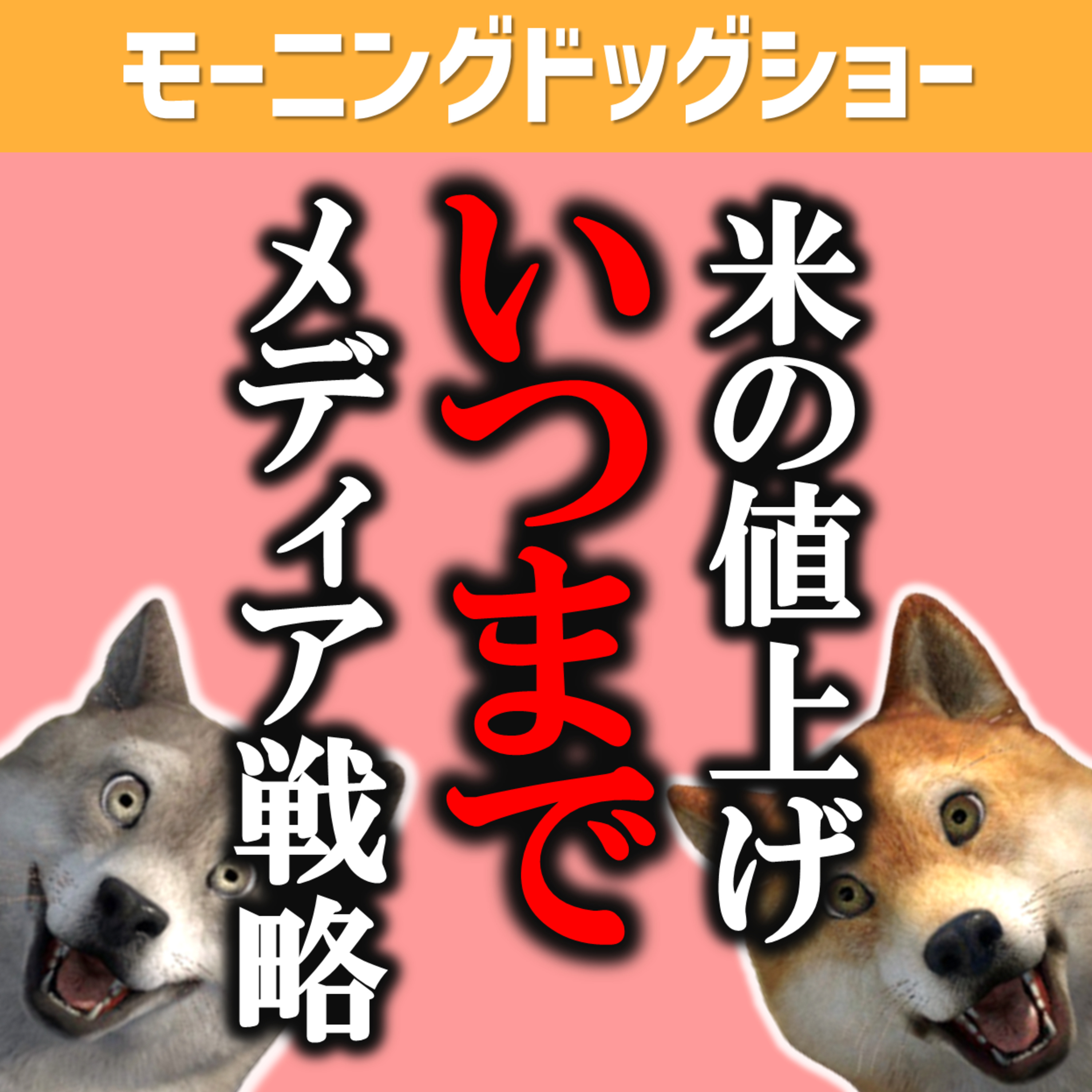 米の価格を上げたい政府とそれを阻止するメディア　#米の値上げいつまで episode artwork