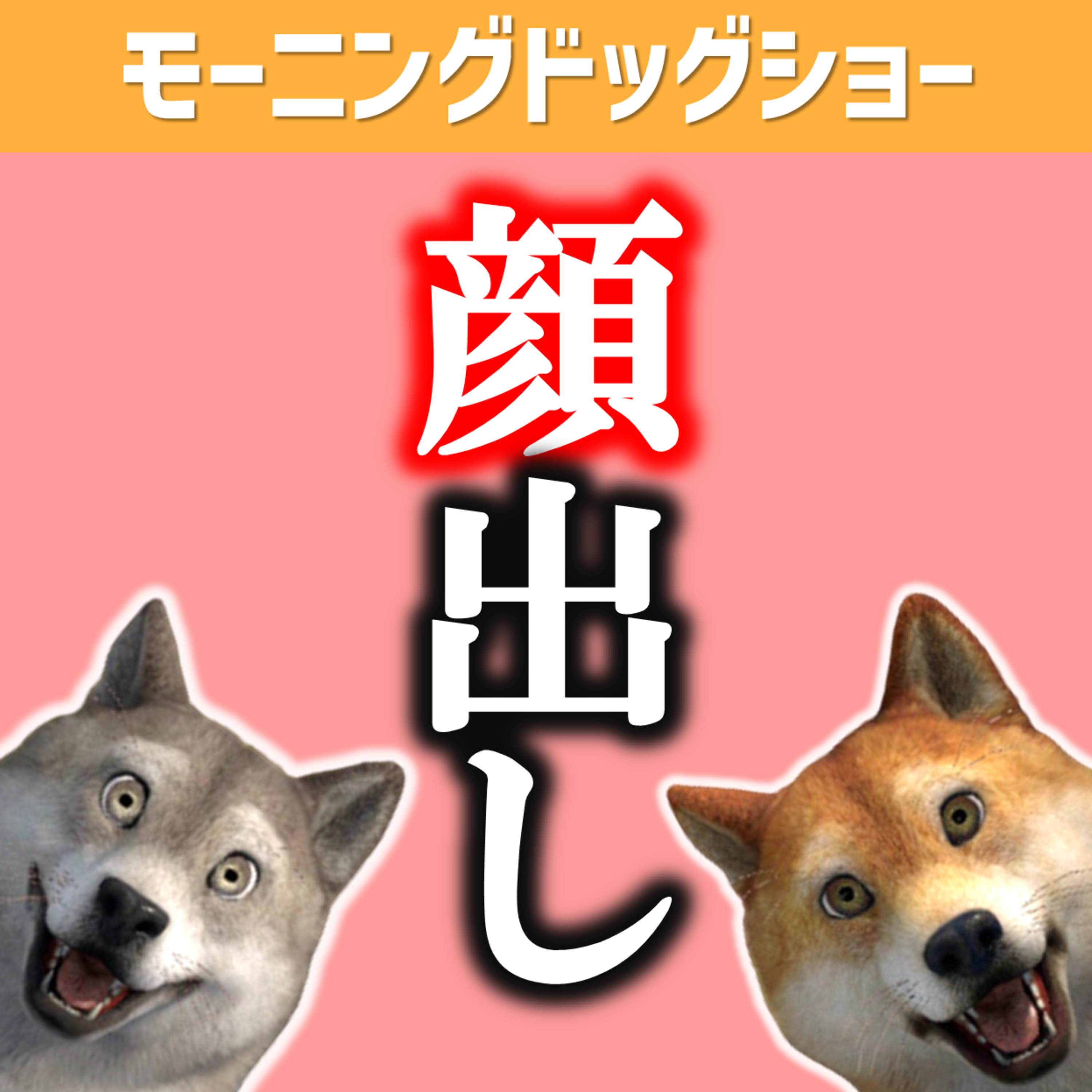 【新潟旅行①】顔出ししました。Youtubeで。 episode artwork