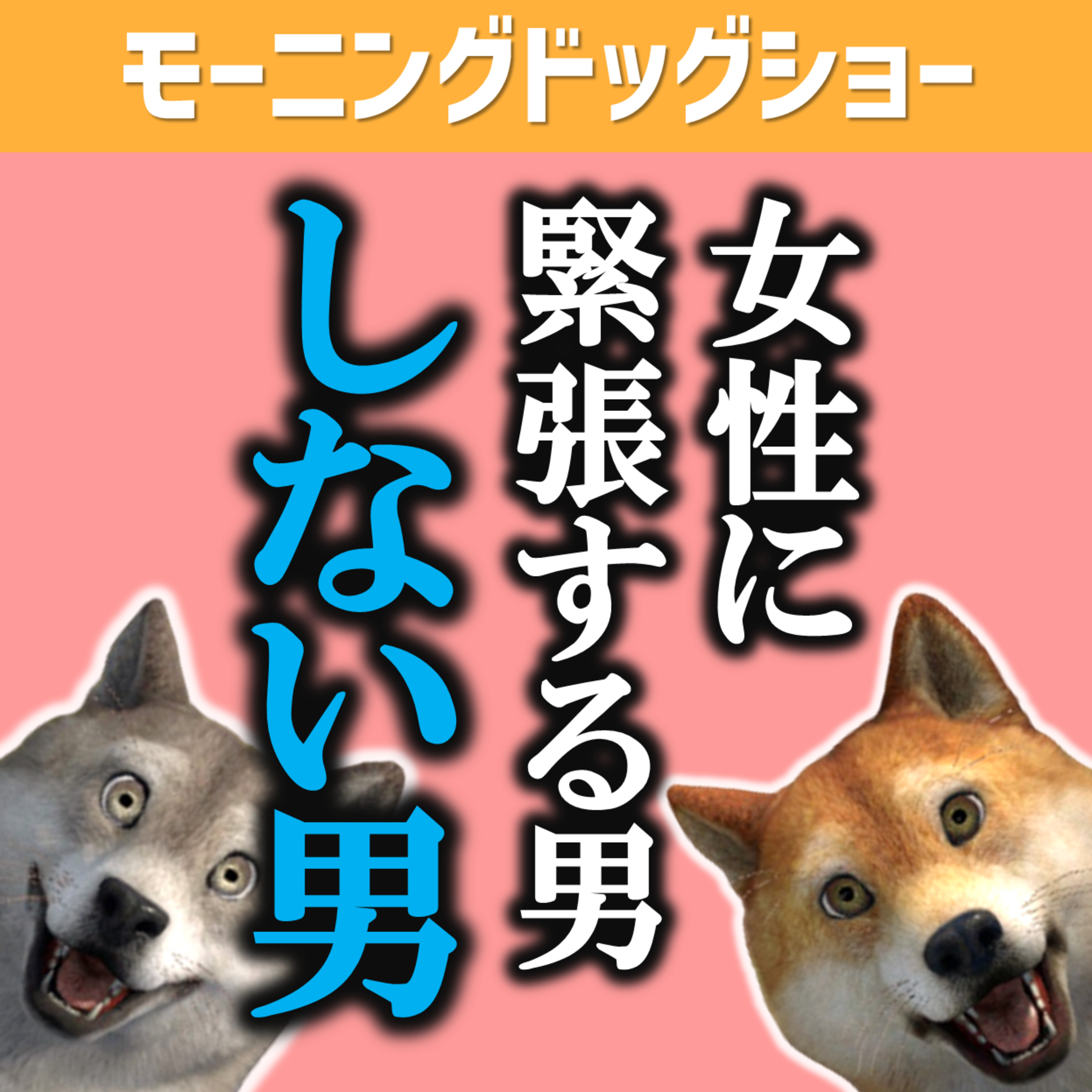 女性に緊張する男としない男の違いはなにか？ episode artwork
