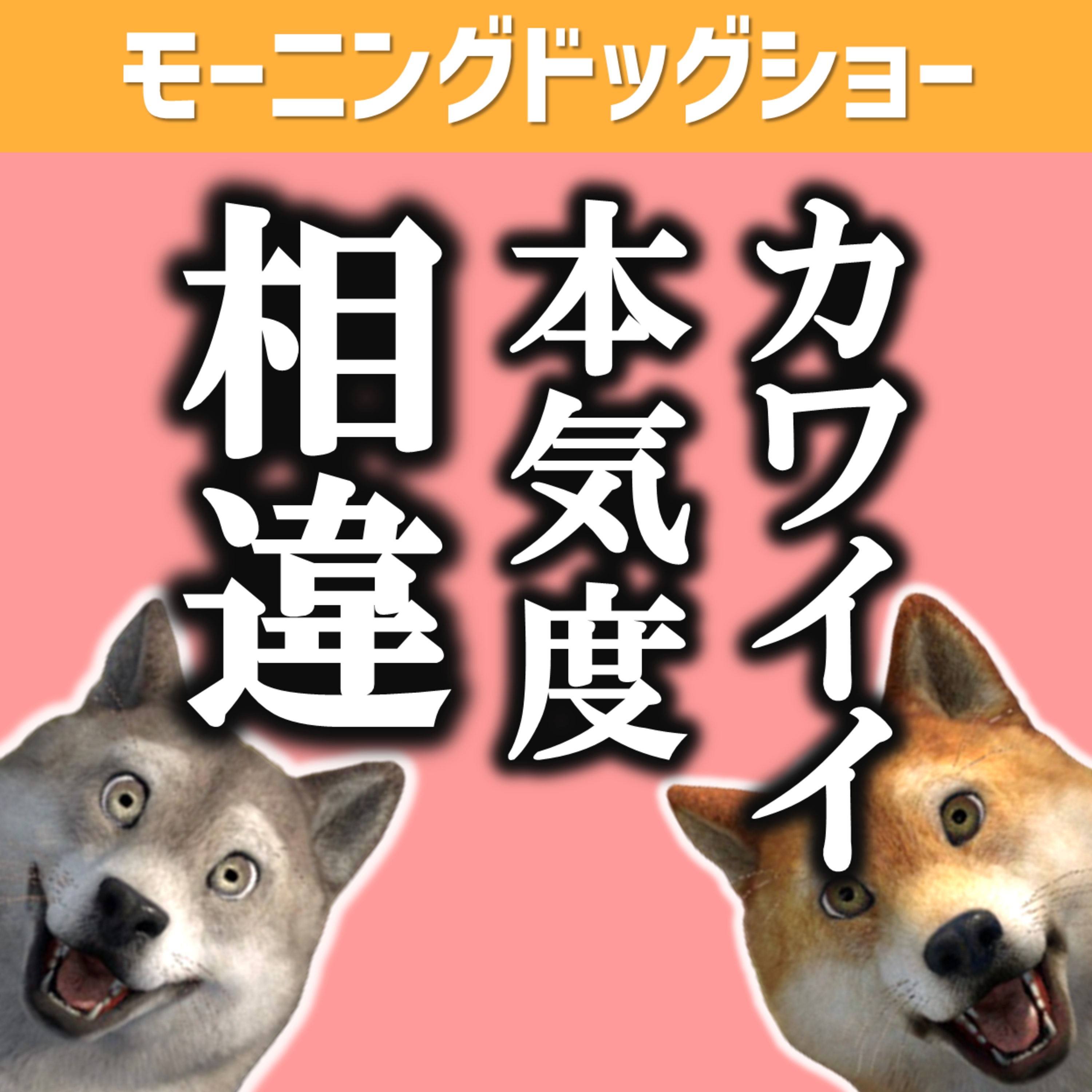 「カワイイ」を使用する時の性的加減 episode artwork