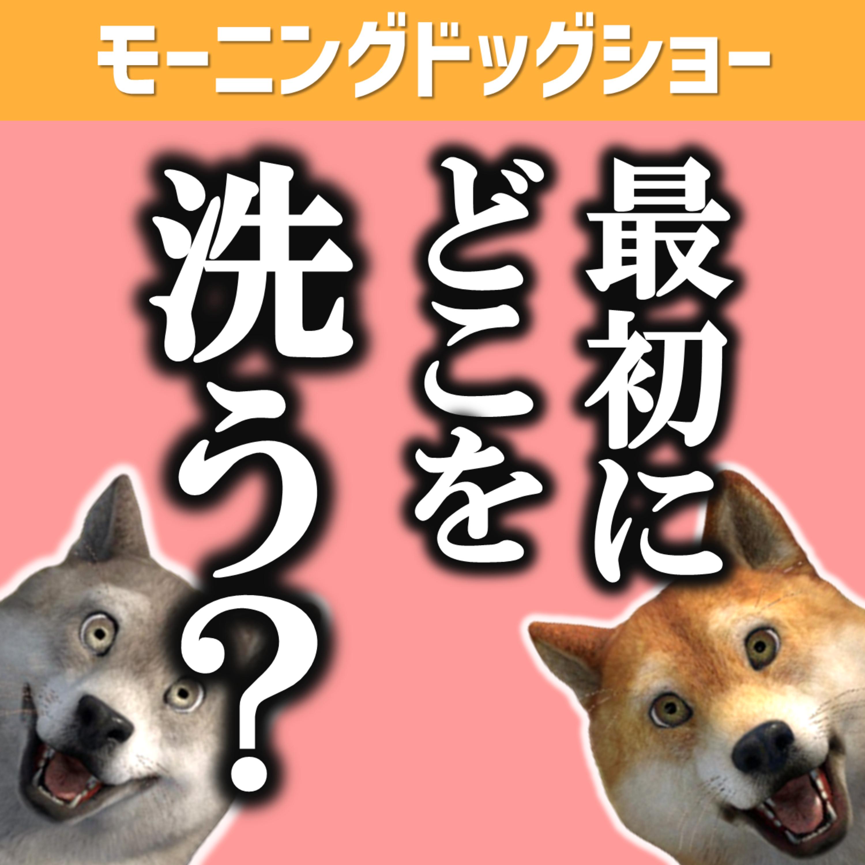 頭から洗うor頭以外から洗う episode artwork