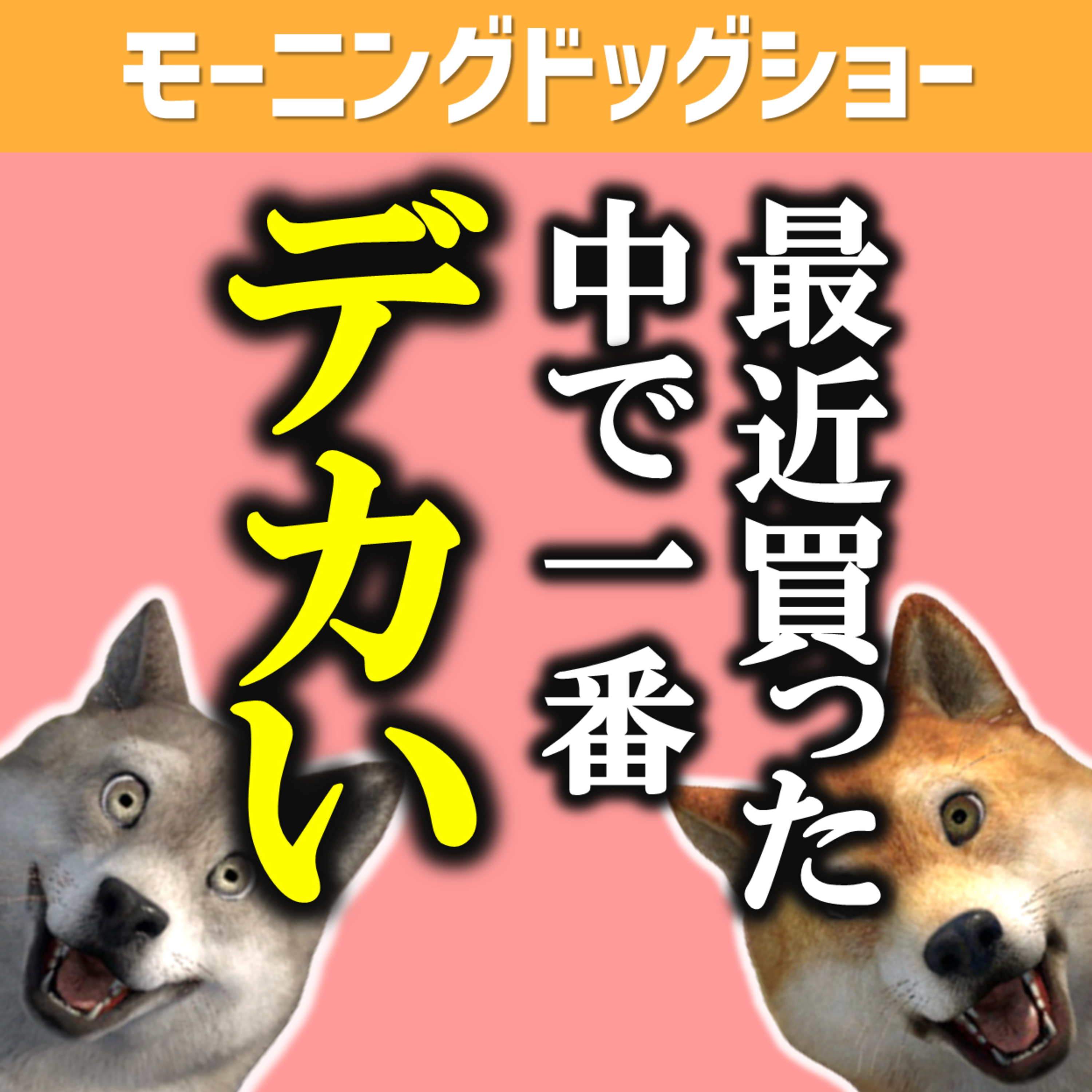 最近買った一番大きいものなんですか？ episode artwork