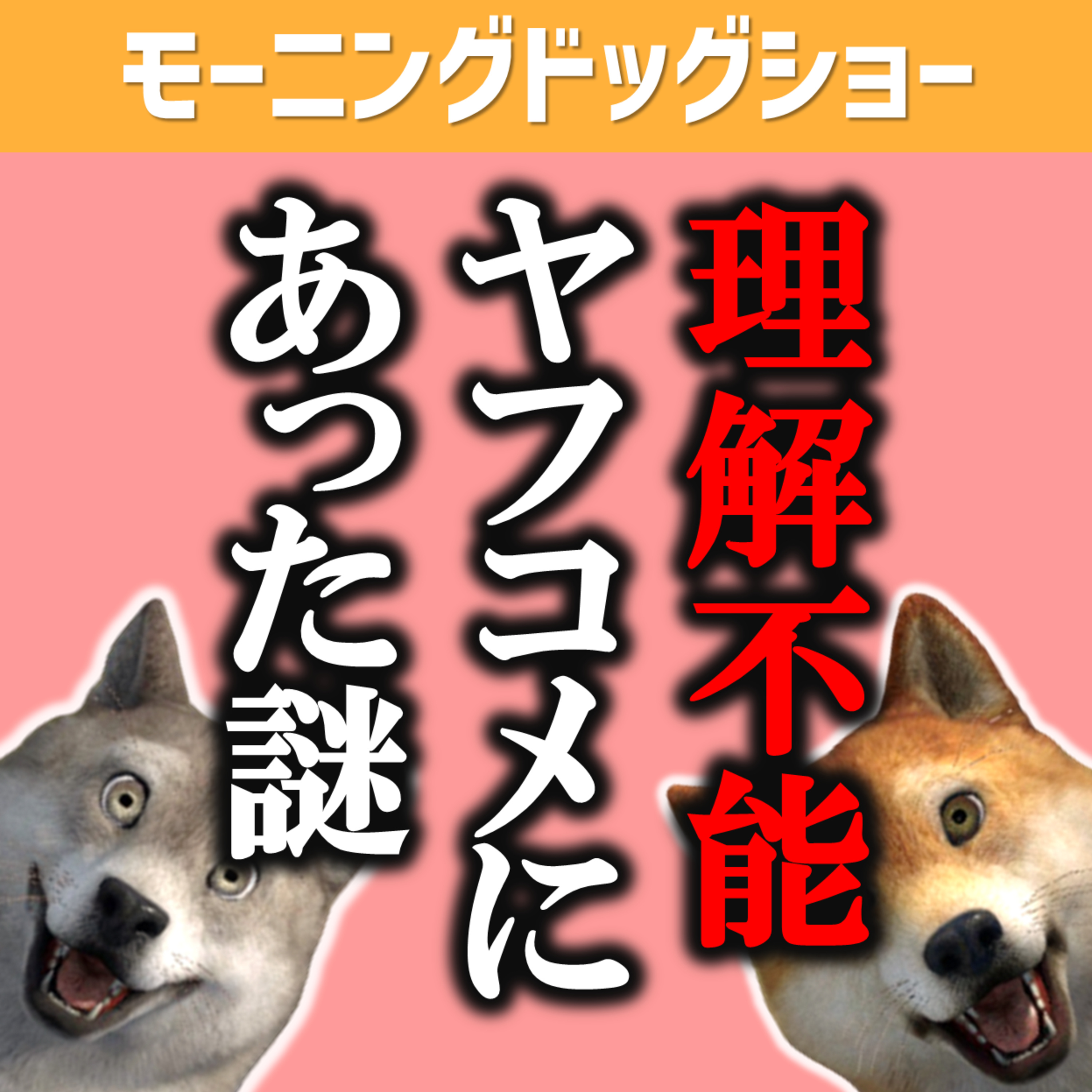 石原さとみさんの出産報告に対して反応した「なにお前」 episode artwork