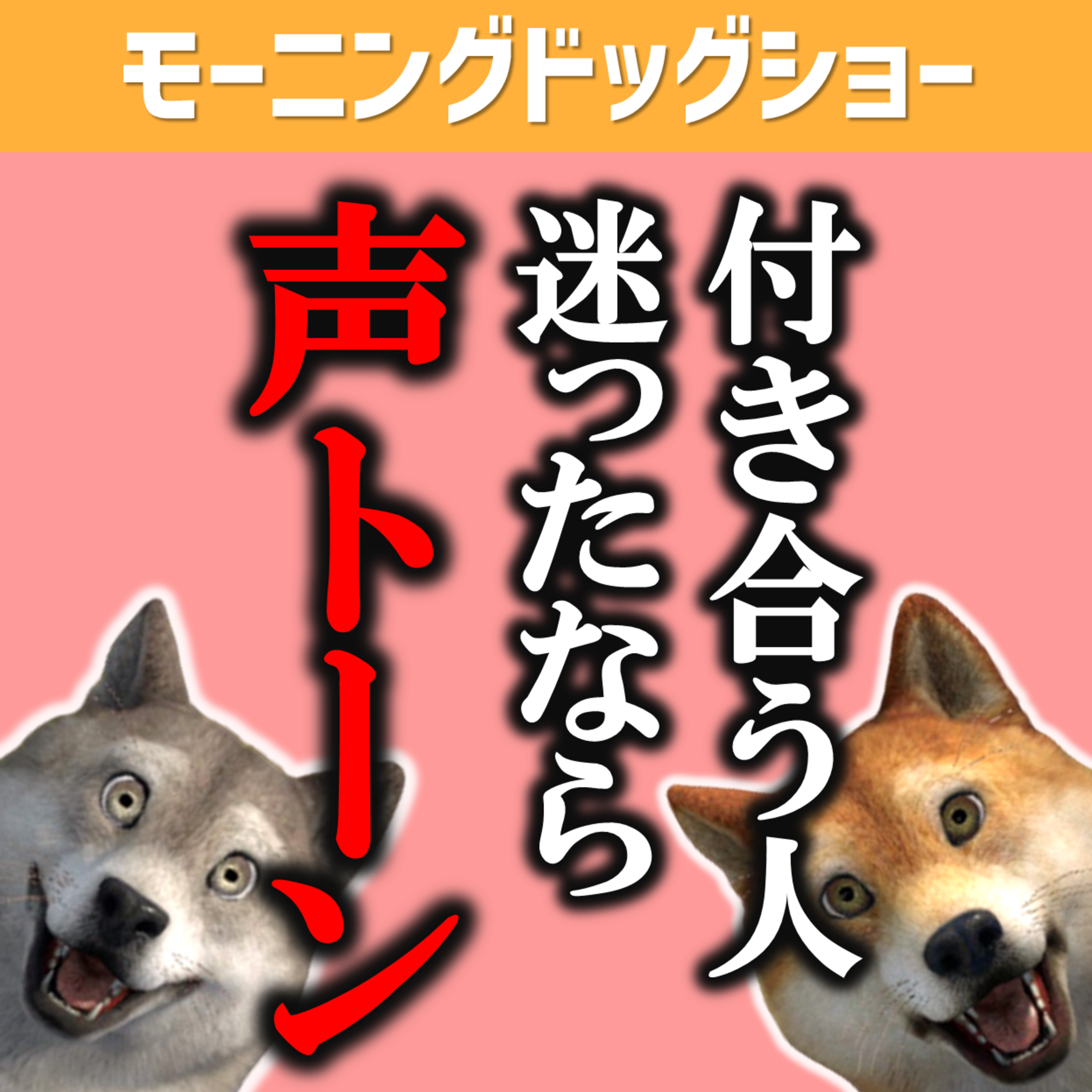 人間関係に悩むなら声のトーンを気にしてみる episode artwork