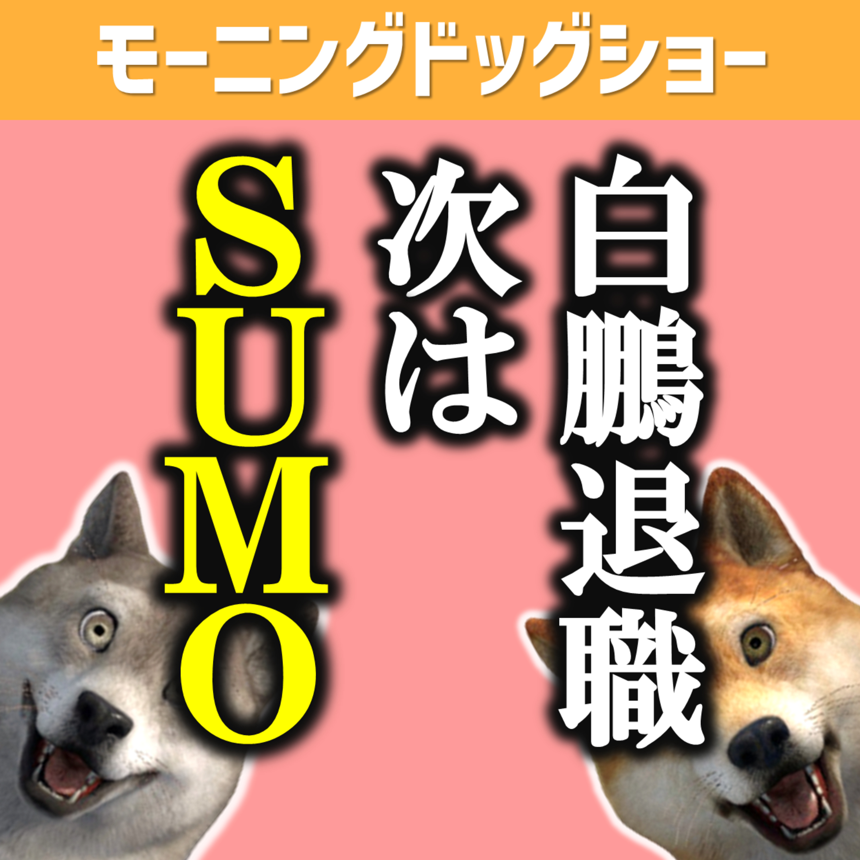 白鵬退職「外の立場から発展に貢献」 episode artwork