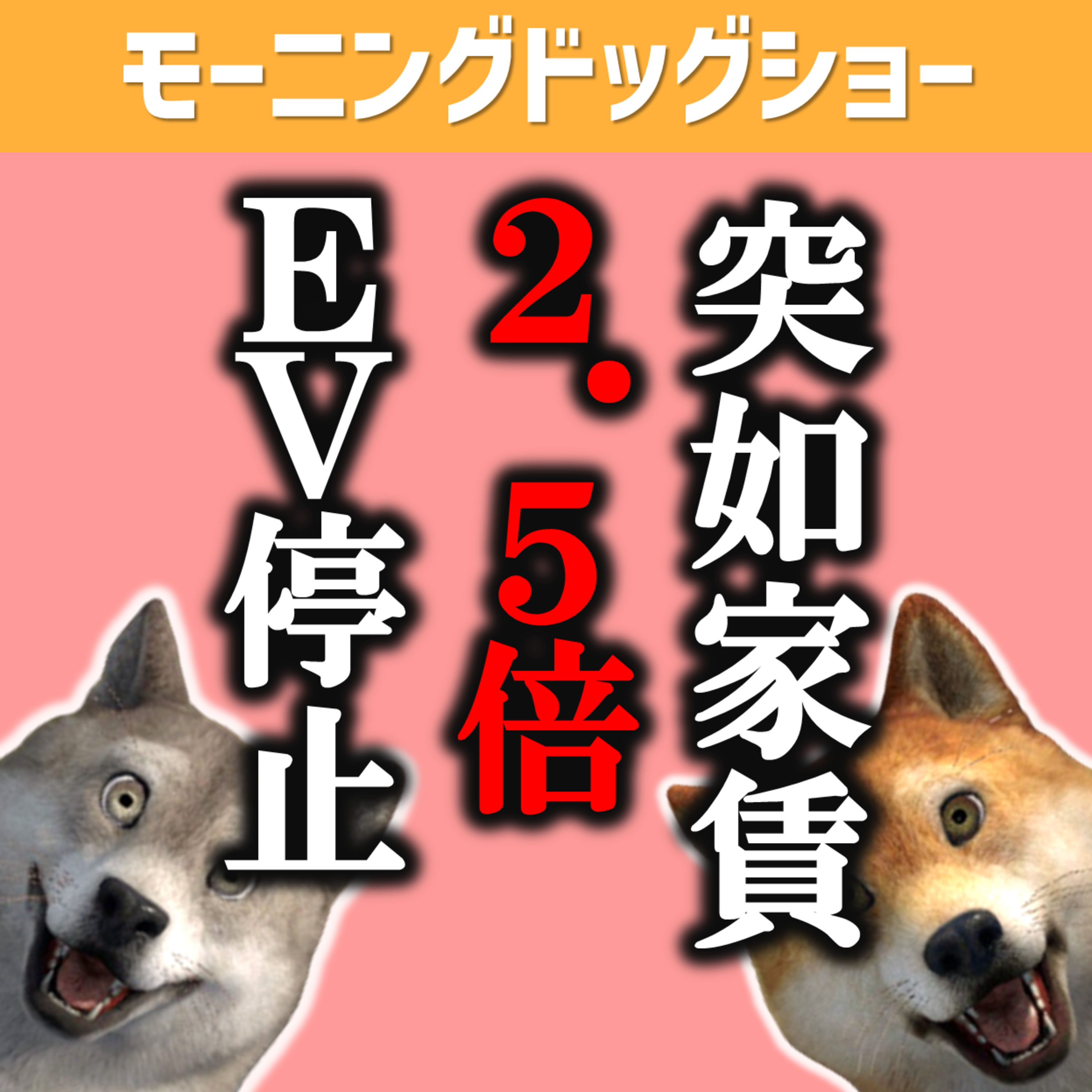 家賃が突然2.5倍。エレベーターも使用停止で「死活問題」 episode artwork