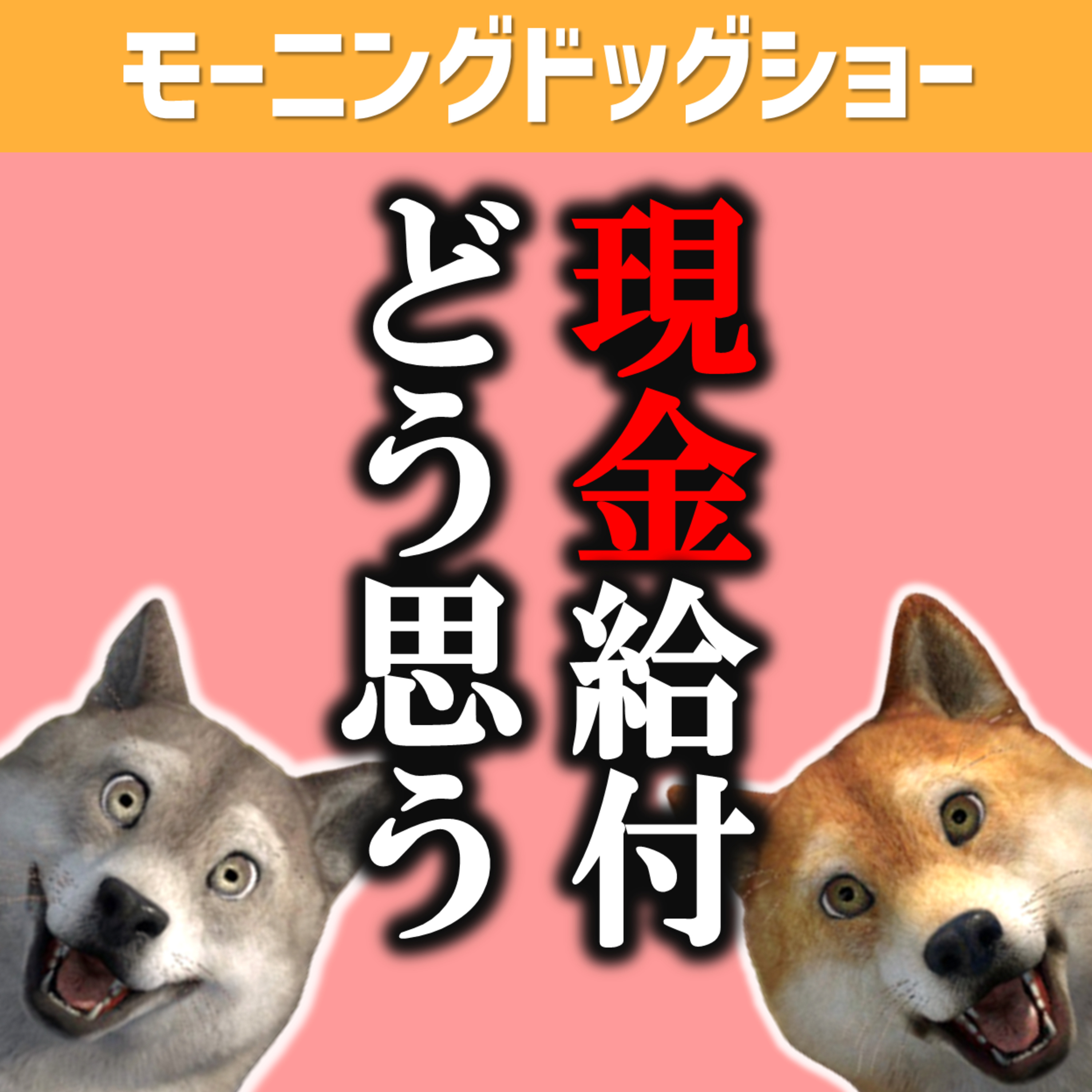 現金給付について思うこと episode artwork