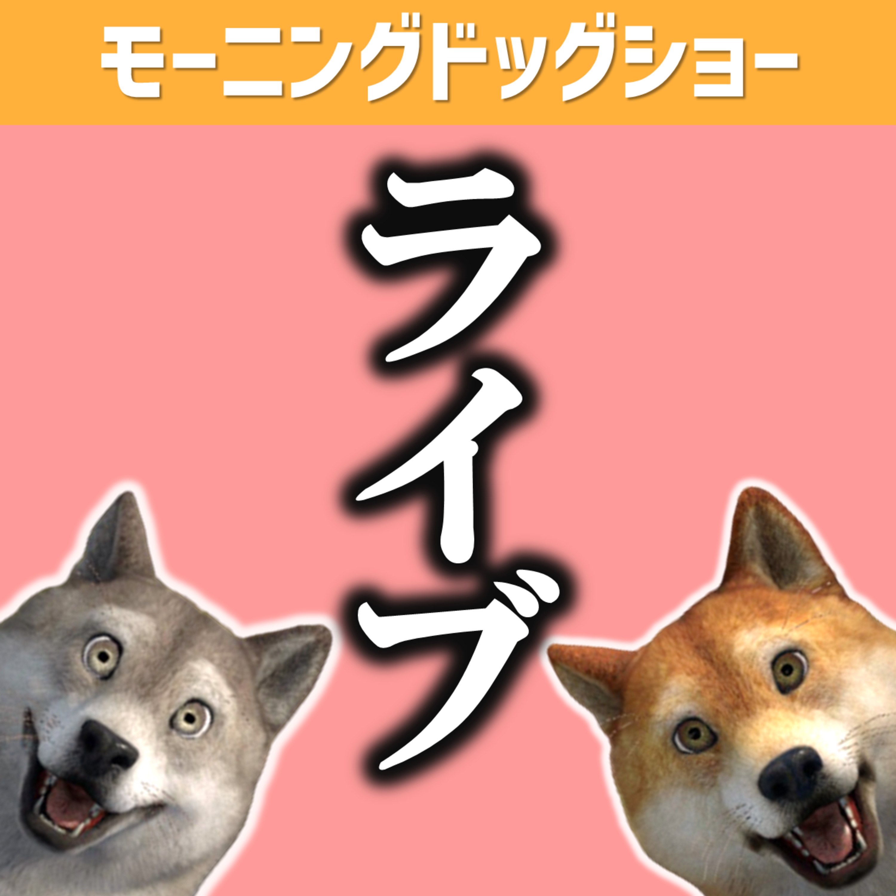 【12:20-12:40】お昼休憩LIVE告知！！ episode artwork
