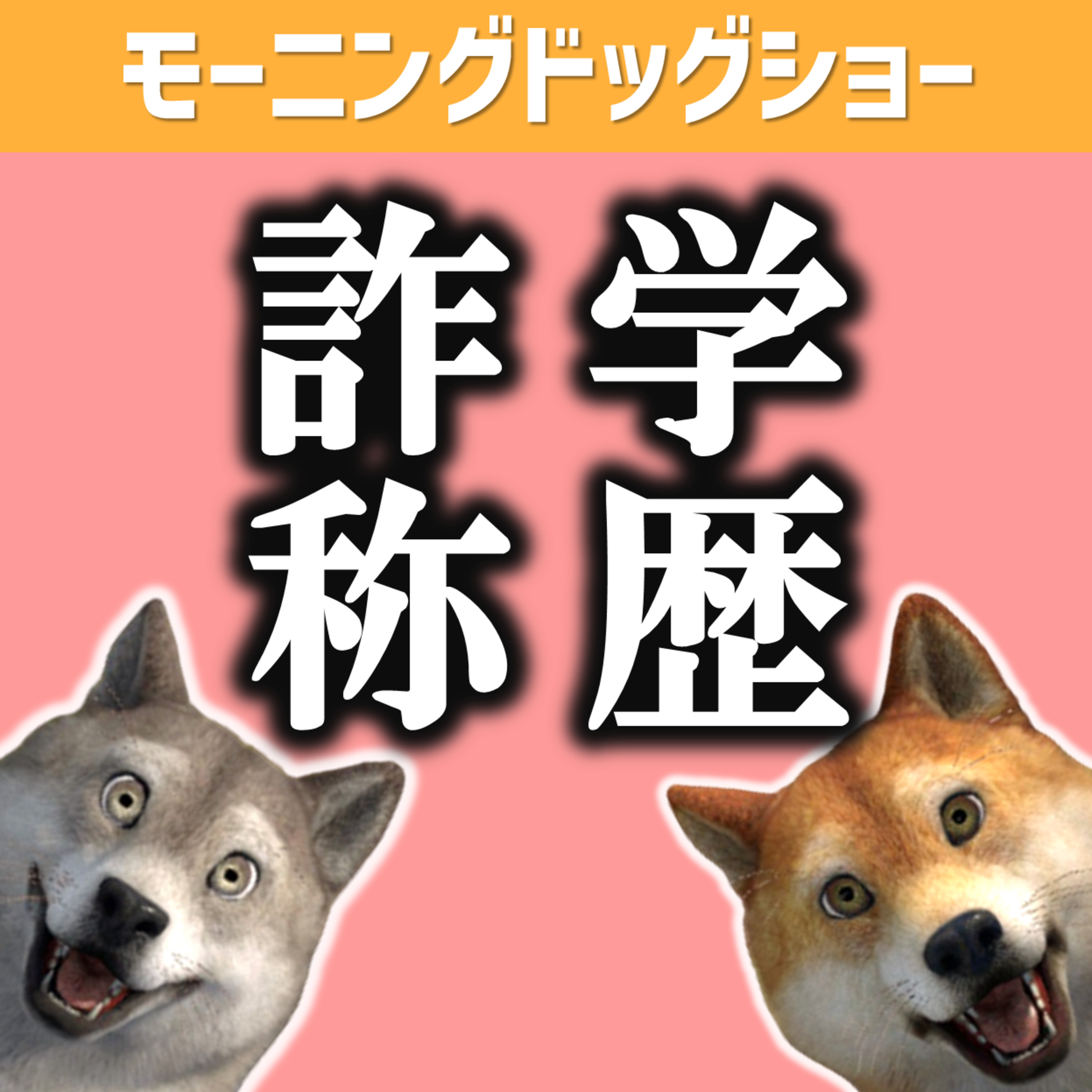 静岡県伊東市長の学歴詐称はなぜか？ episode artwork