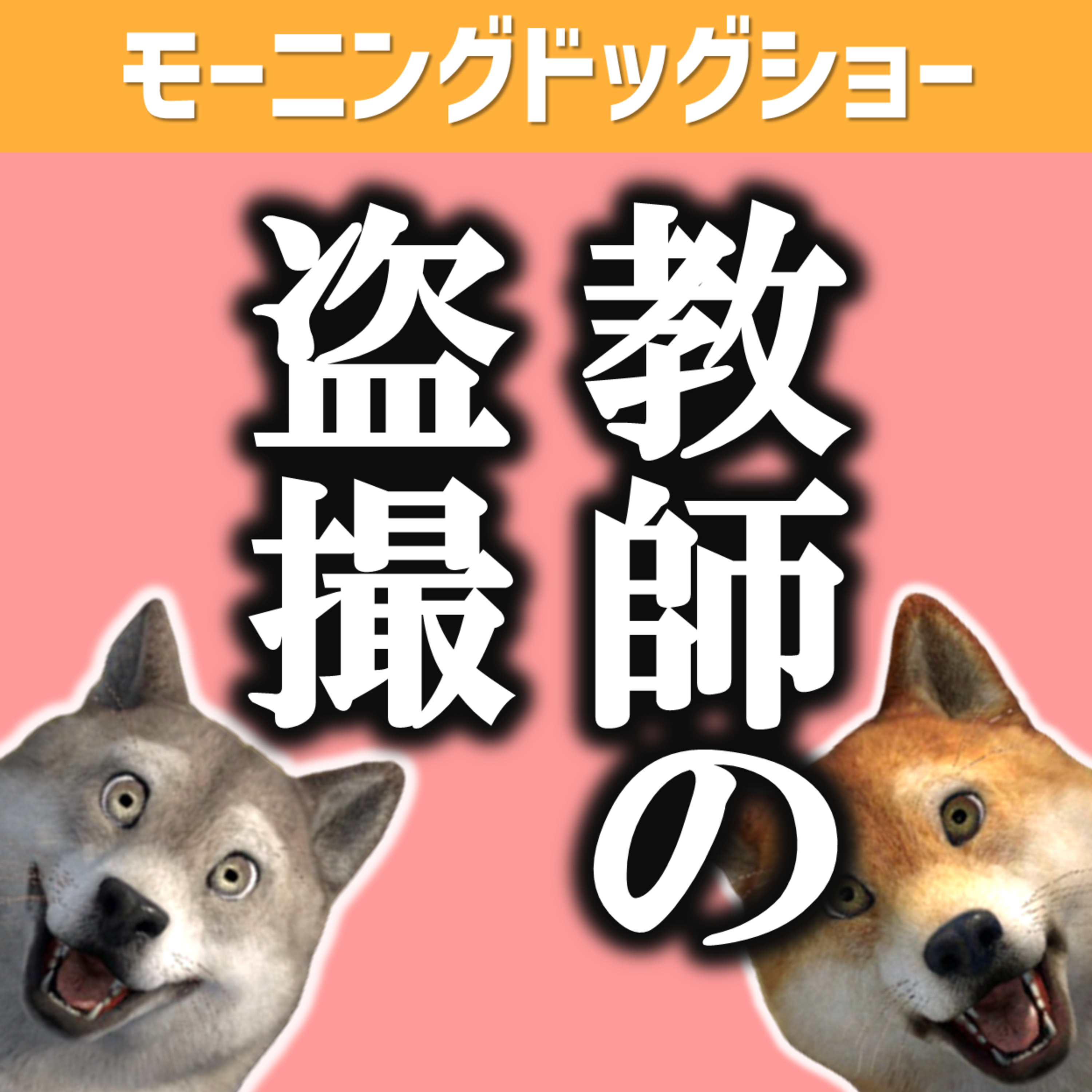 抑えられない衝動は社会的に解決するかないかも episode artwork