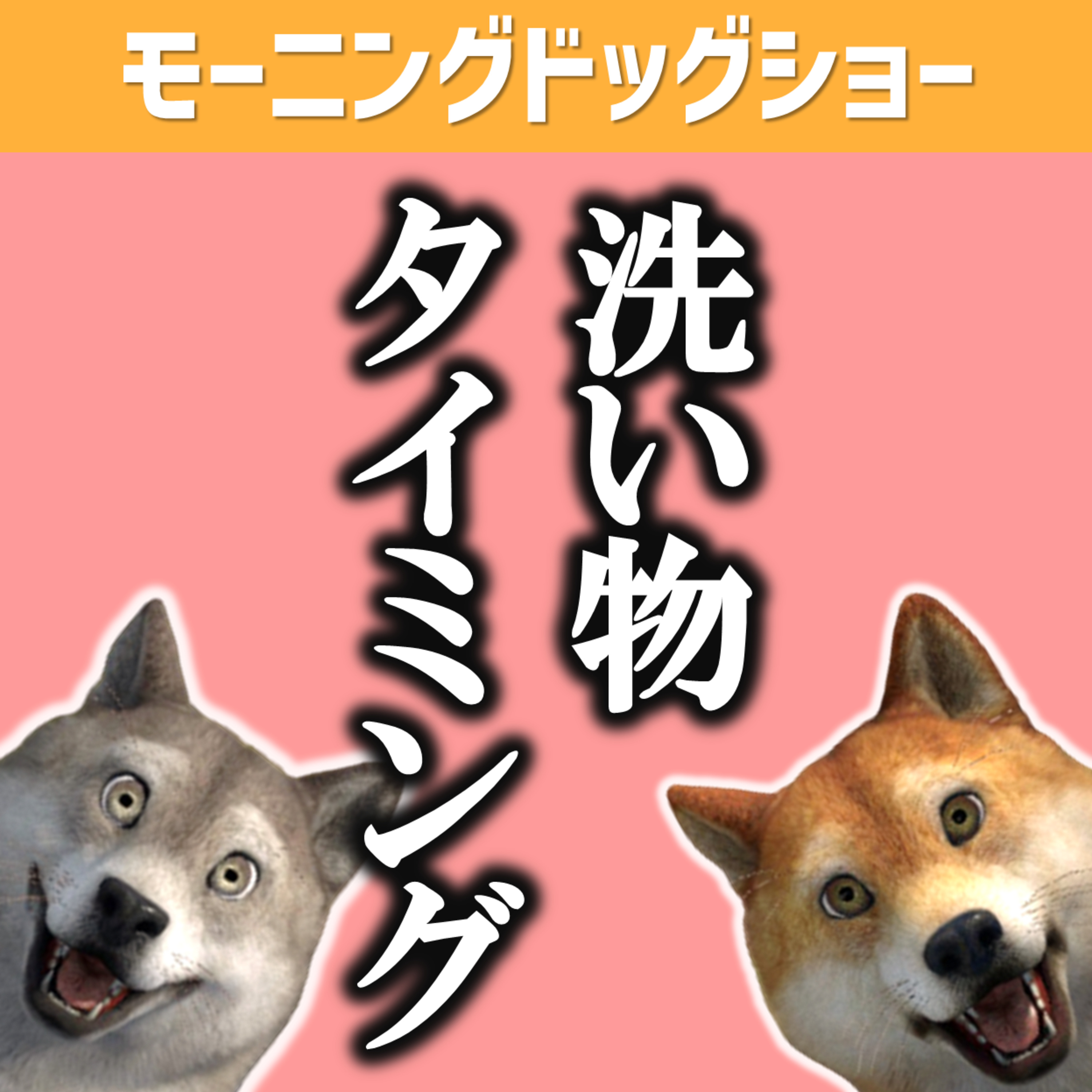 洗い物の前工程の作業が障壁となって洗い物が捗らない episode artwork