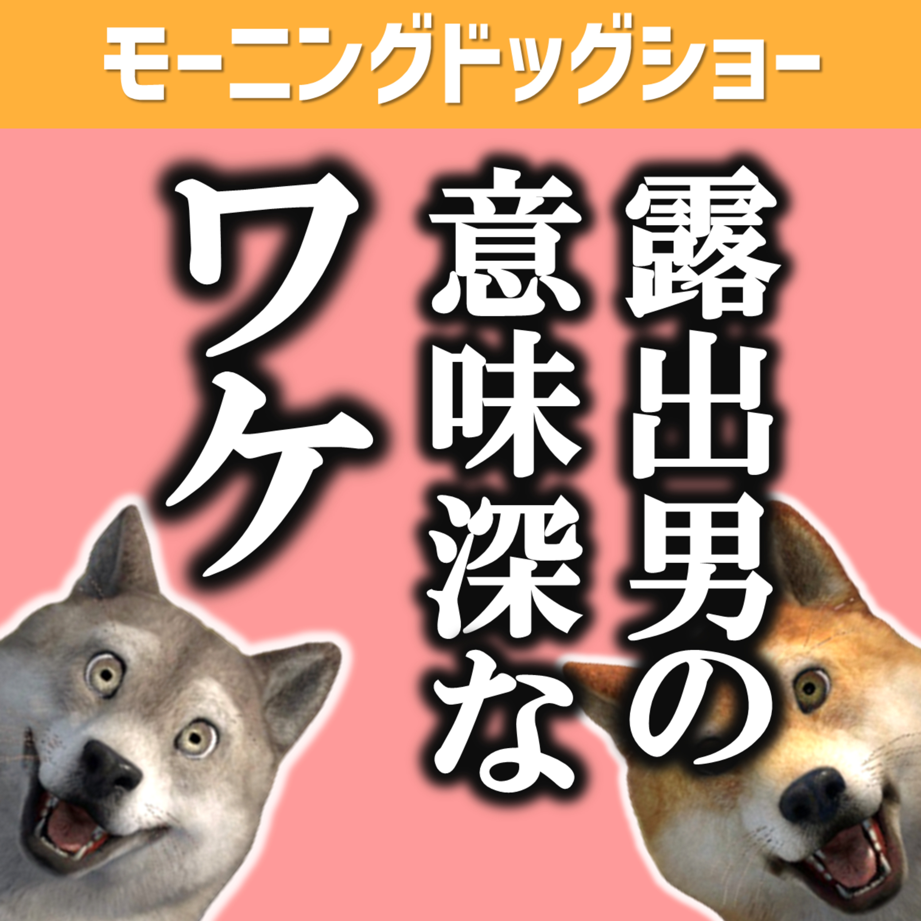 露出男「出したくて出したわけじゃない」その理由は？ episode artwork