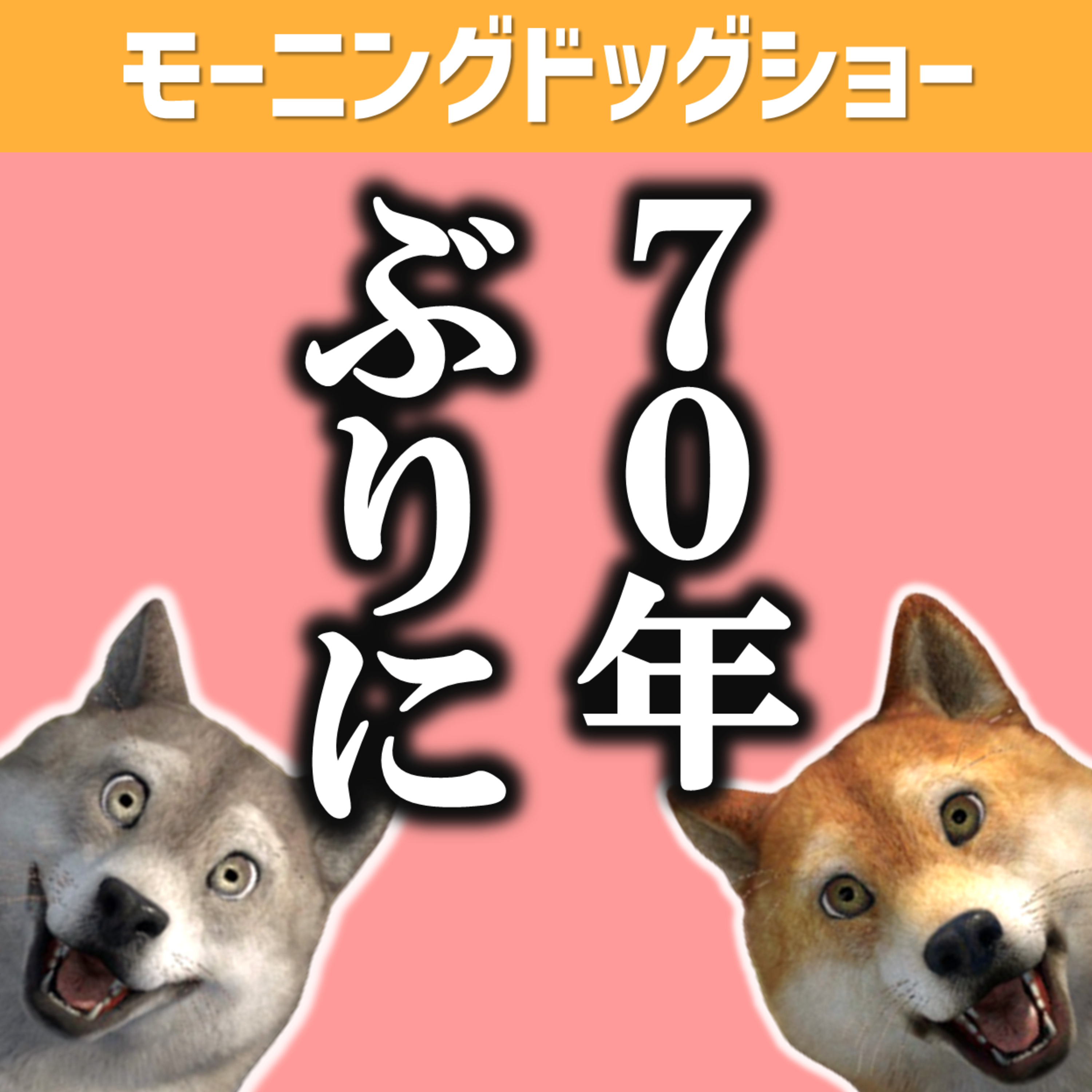 日本にて70年ぶりに変わったことがあった episode artwork