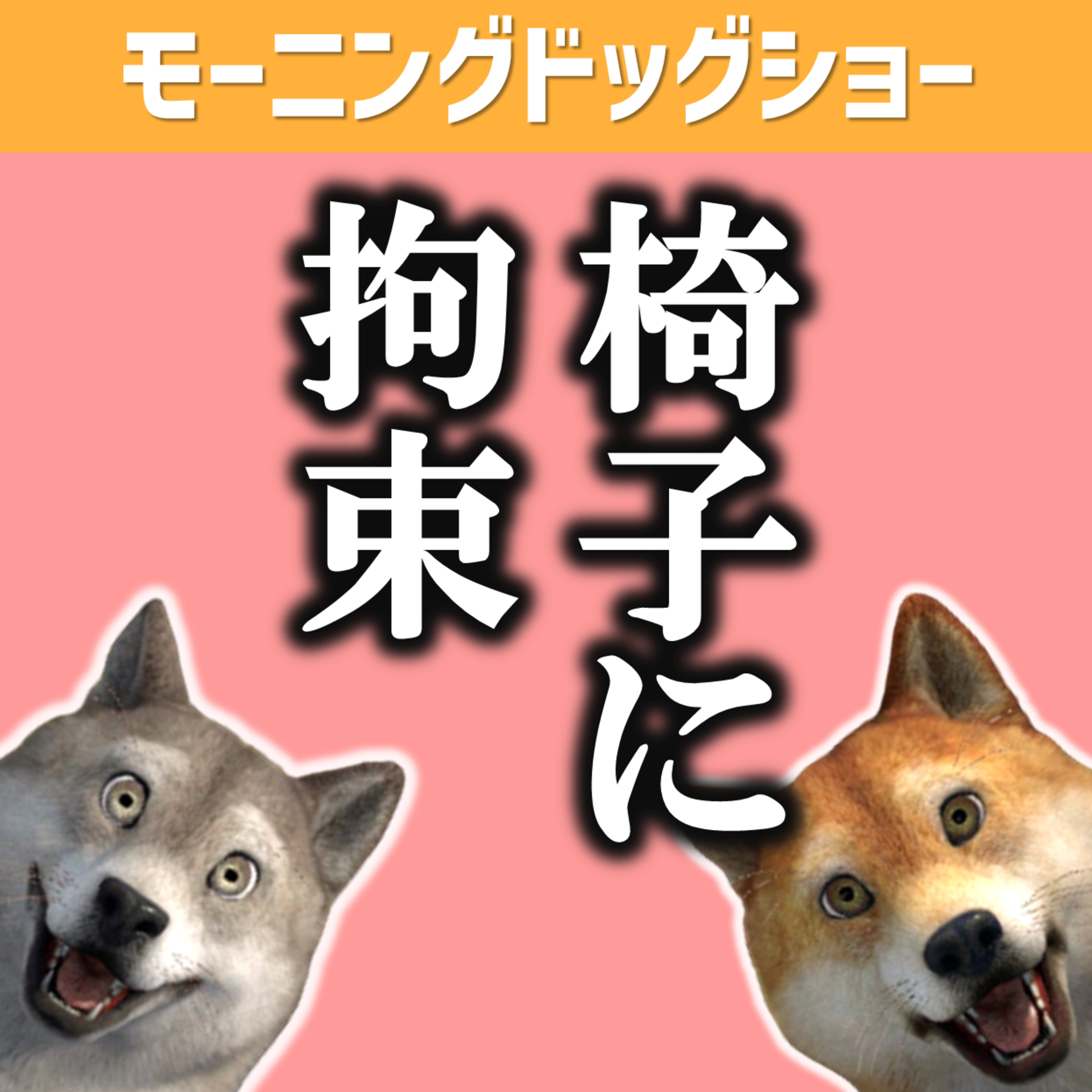 目覚めると椅子に手足を縛れられている状態だったら... episode artwork