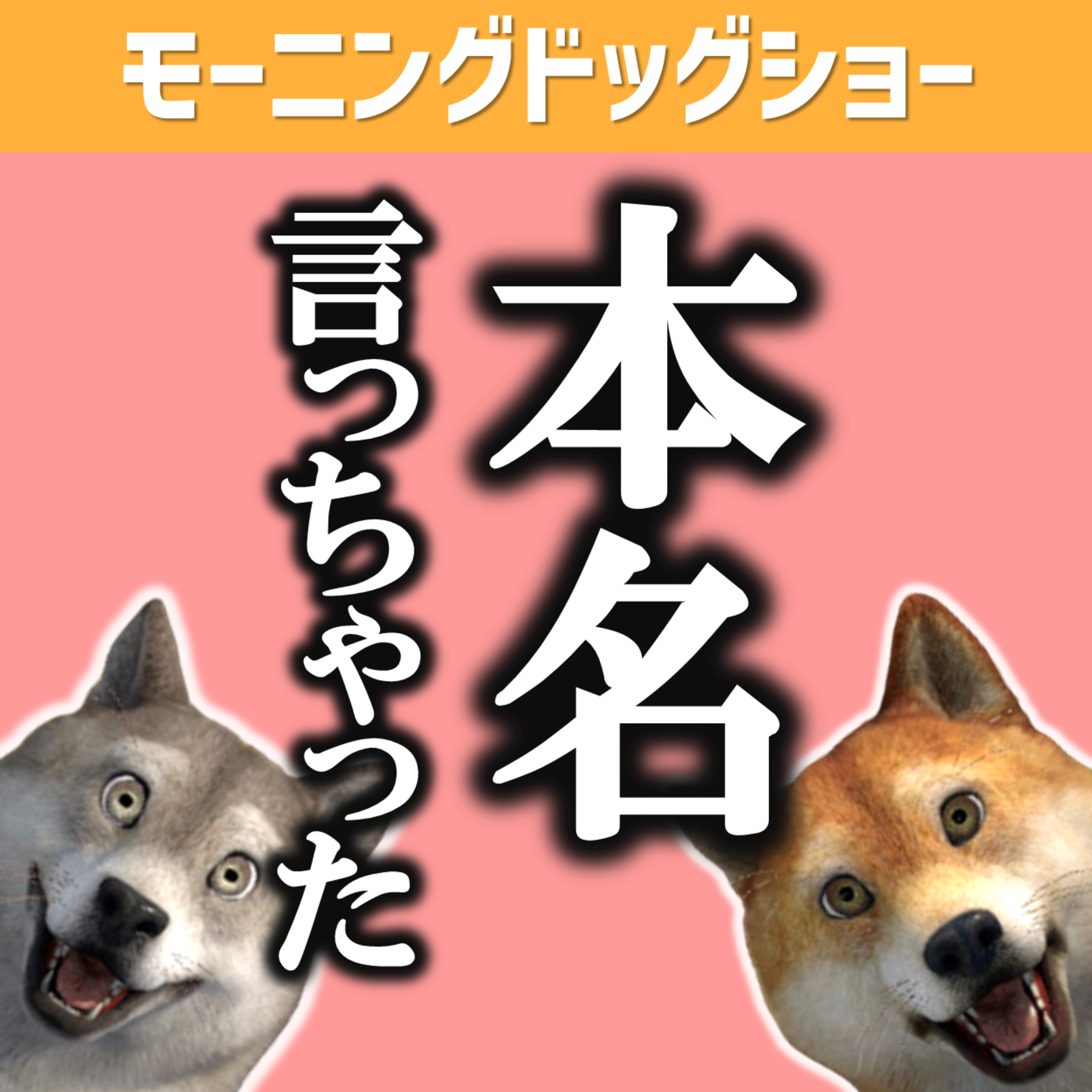 【女性を幻滅させたこと】話している途中で自分の本名を言ってしまったチキン episode artwork