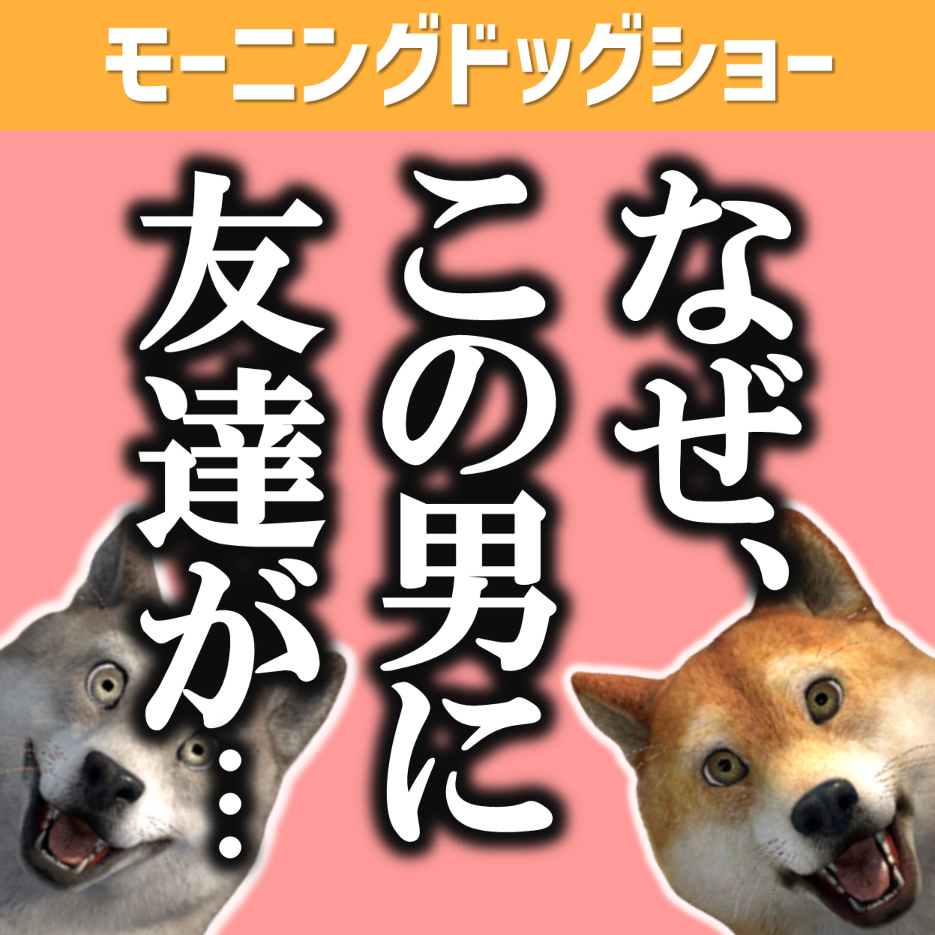 なぜ、チキンに友達がいるのか？ episode artwork