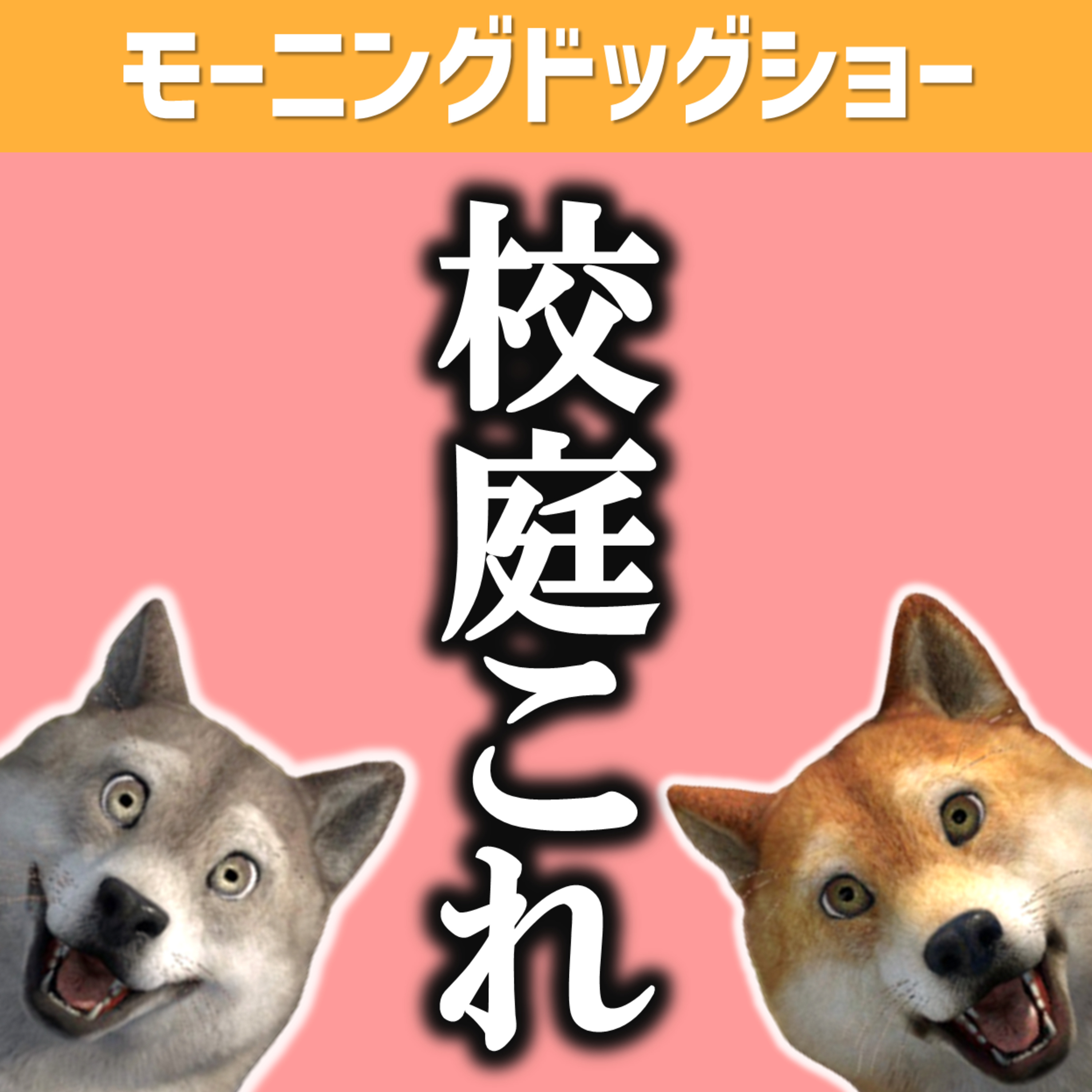 なぜ学校の校庭を変えないの？ episode artwork