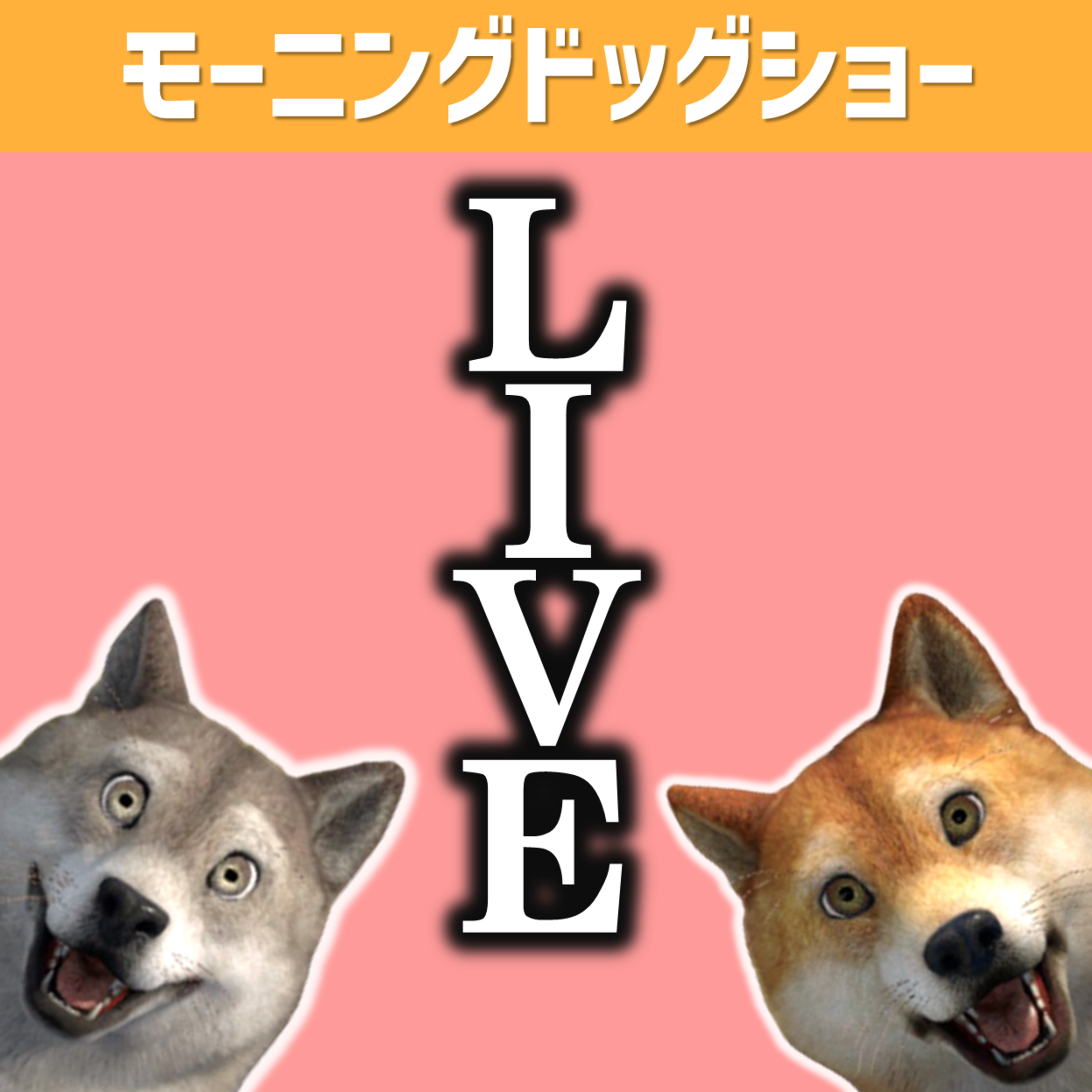 久々のLIVEを行います episode artwork