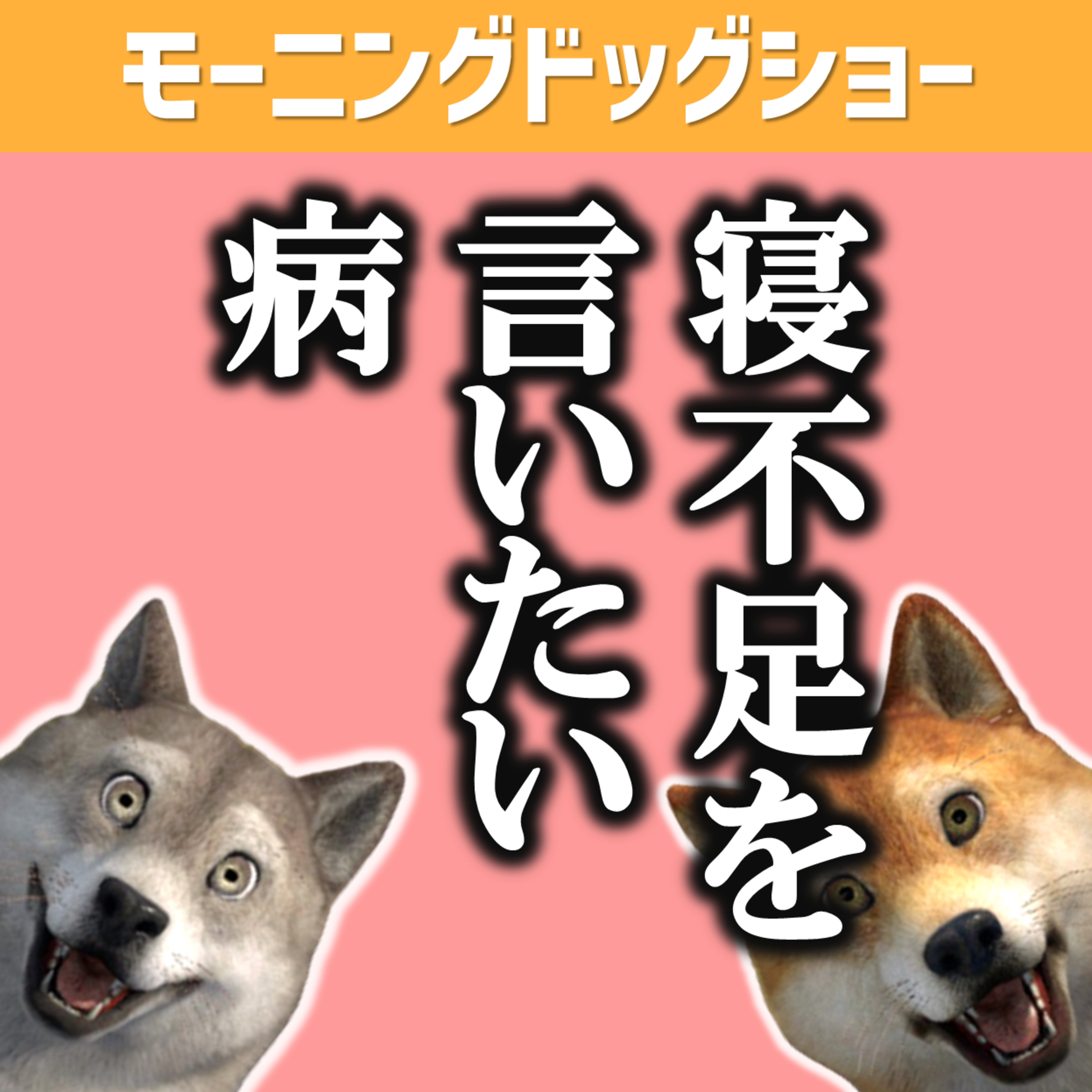 なぜ人間は、寝不足を相手に伝えてしまうのか？ episode artwork