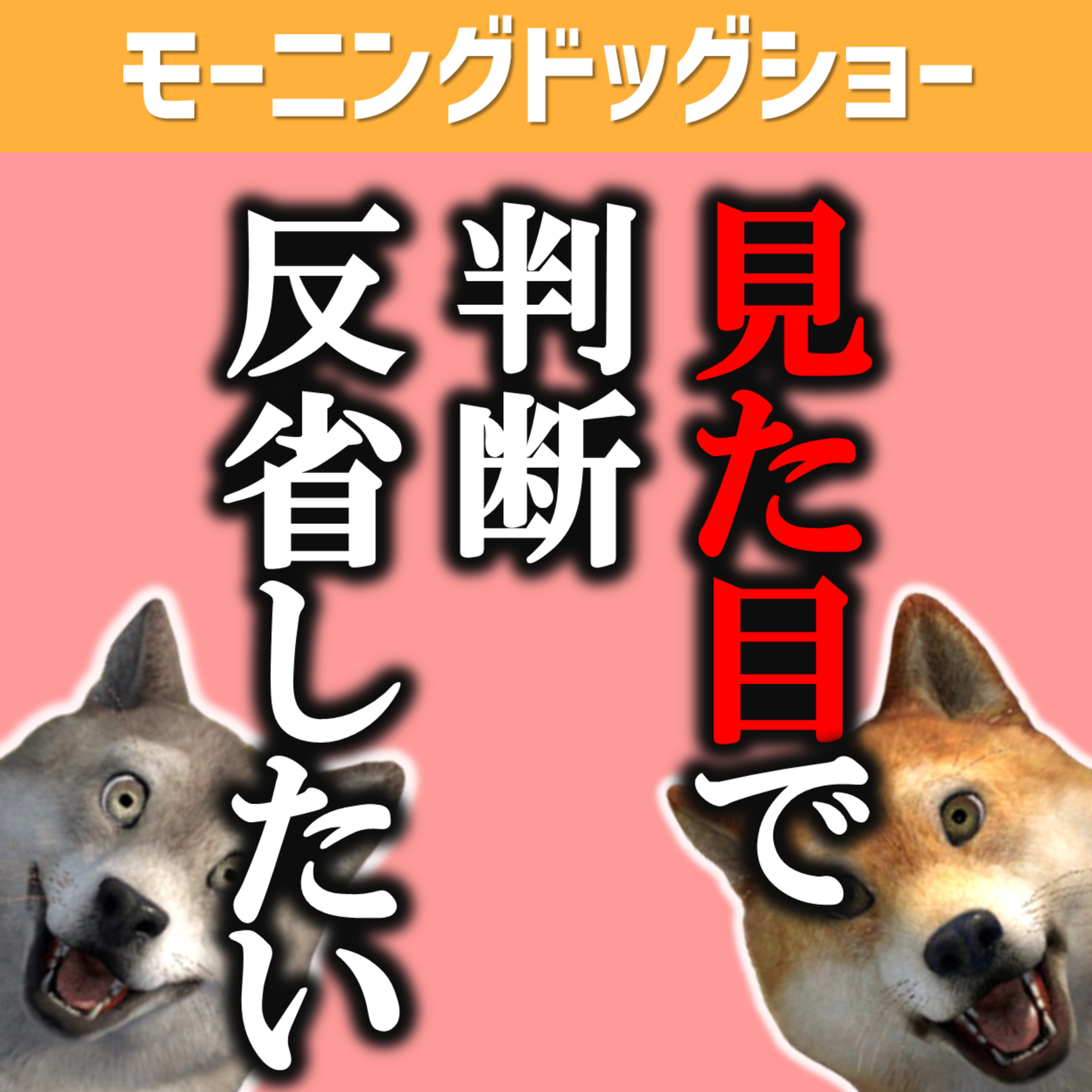 人を見た目で判断してしまう私たちの反省会 episode artwork