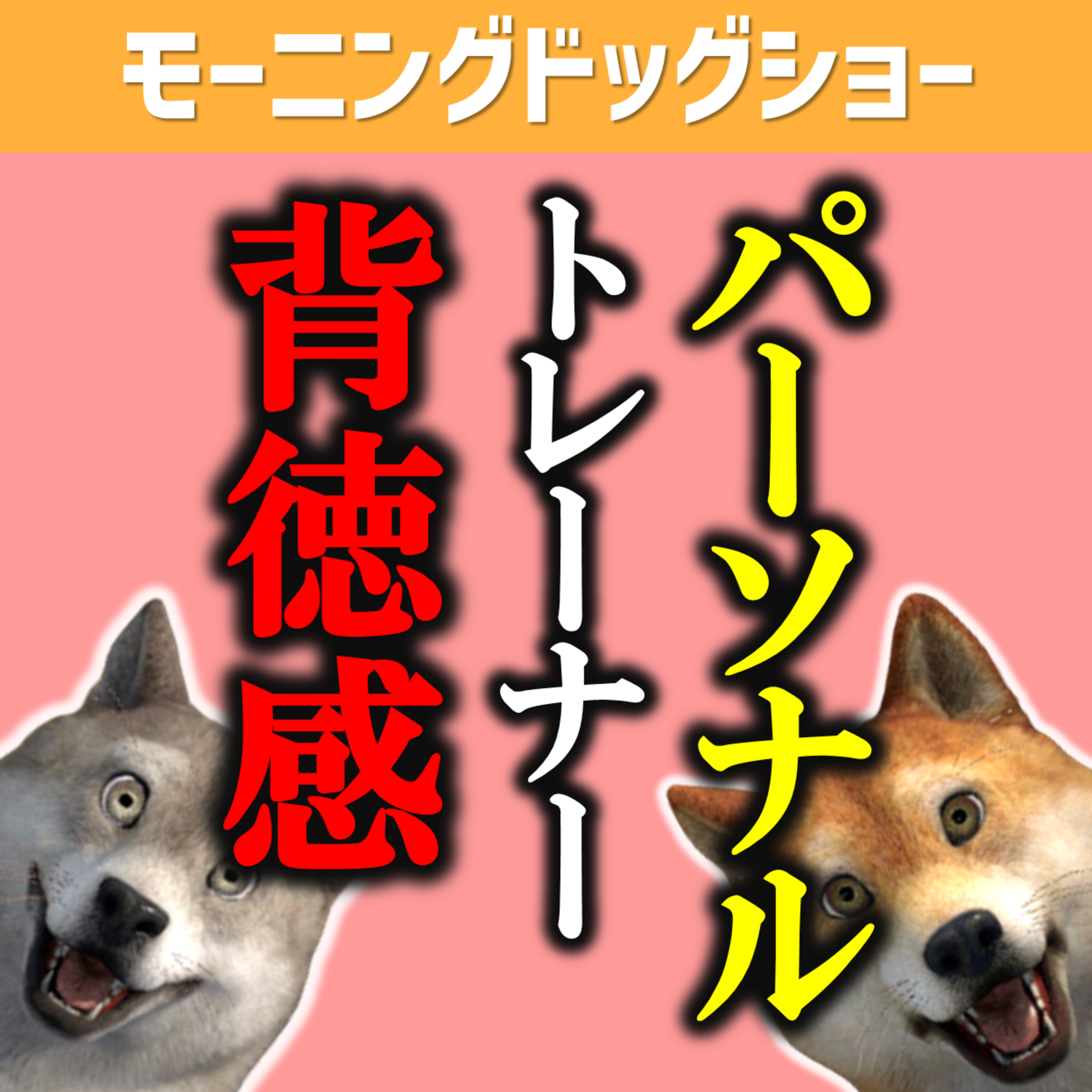パーソナルトレーナーが感じる背徳感がゾクゾクする episode artwork