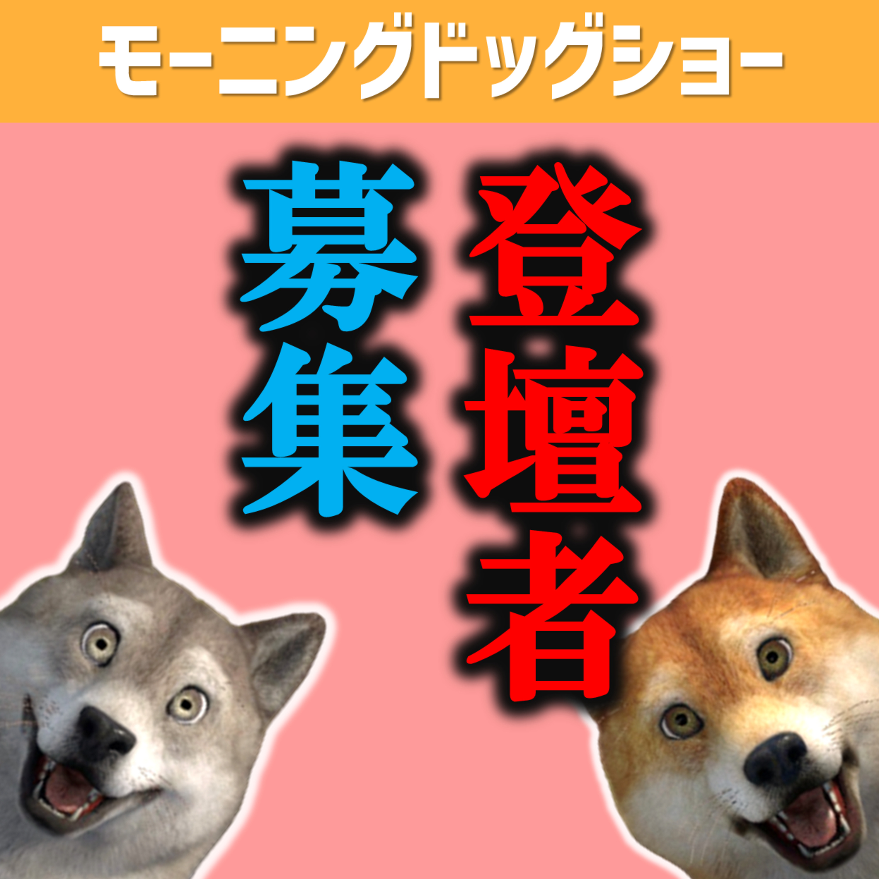 ライブしてるんです episode artwork