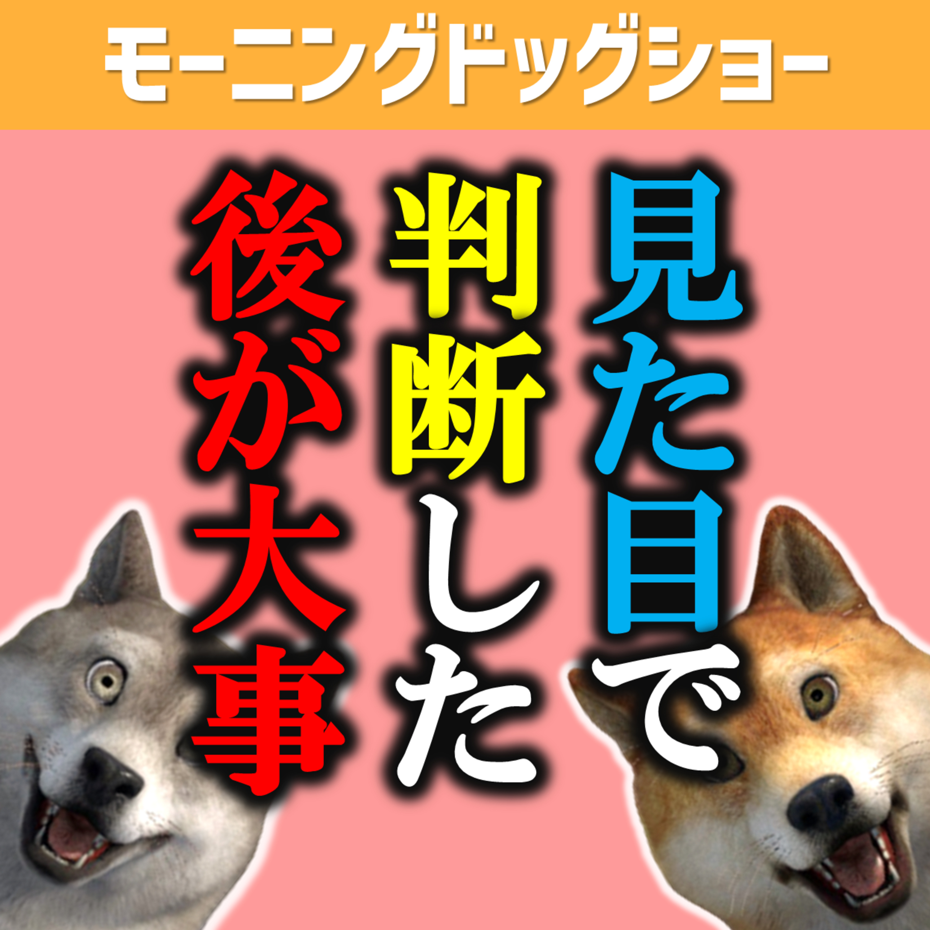 見た目で判断した方が全然いいけどシェアはよくない episode artwork