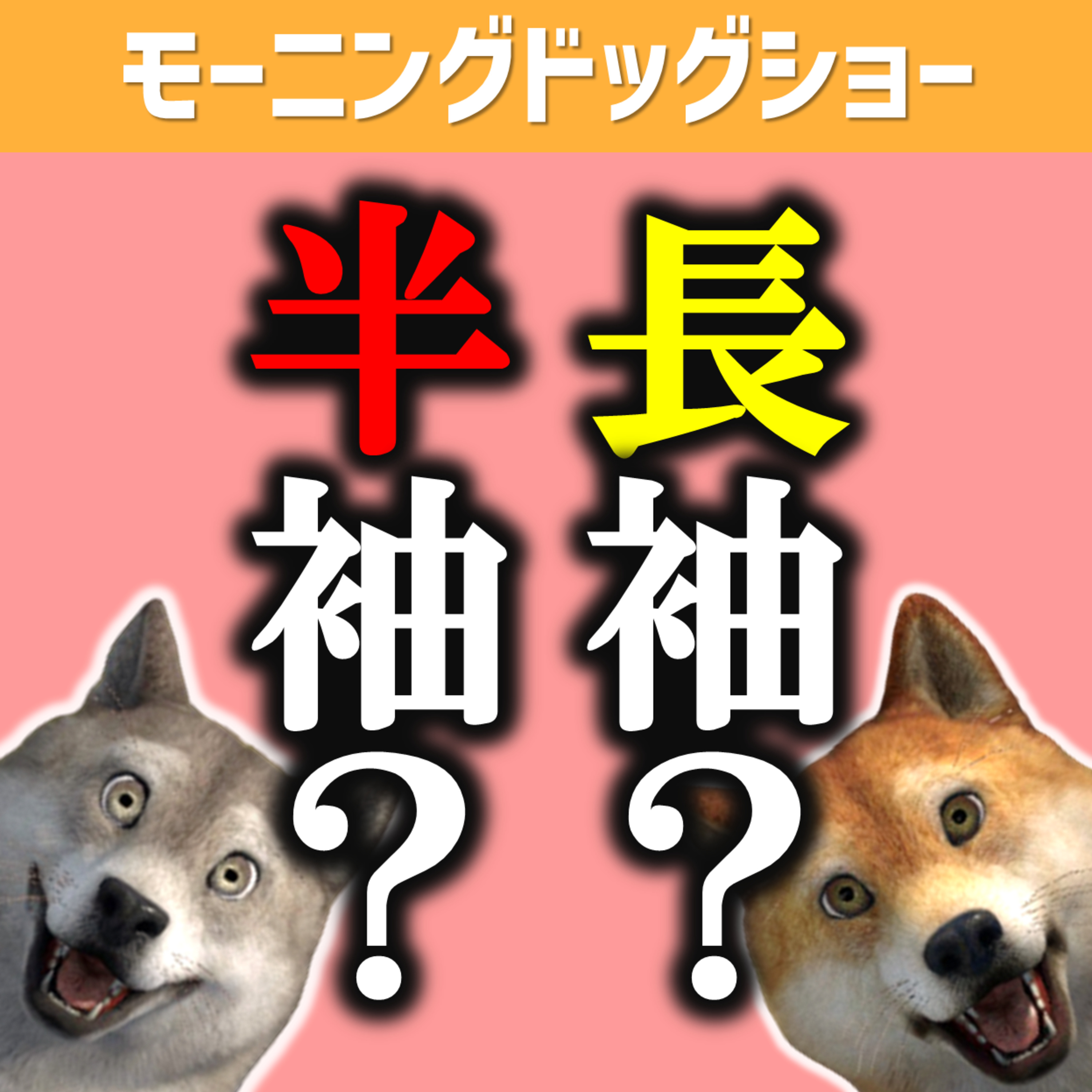 【12:40-13:00】いま、長袖？半袖？ episode artwork