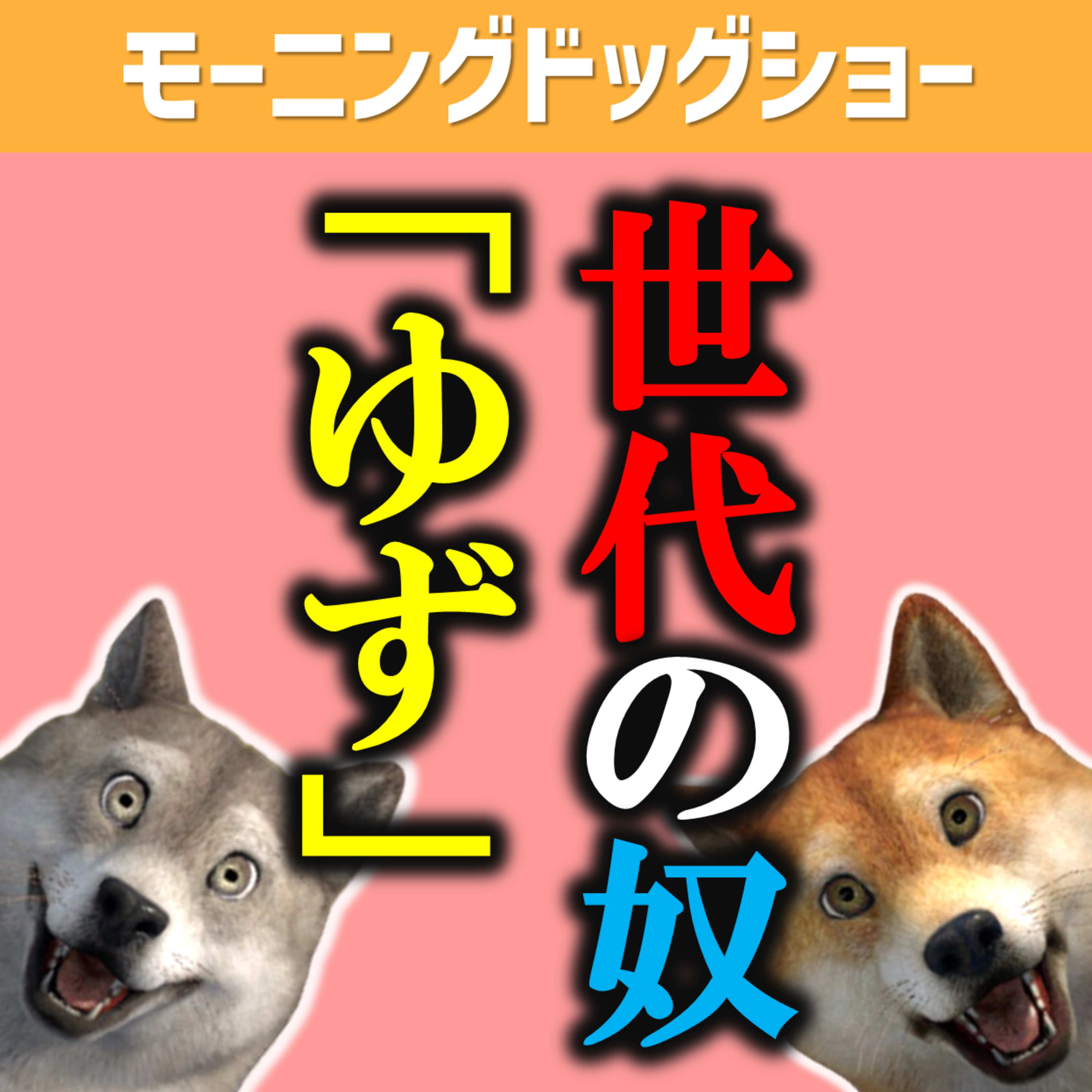 ゆずの懐かしい遍歴 episode artwork